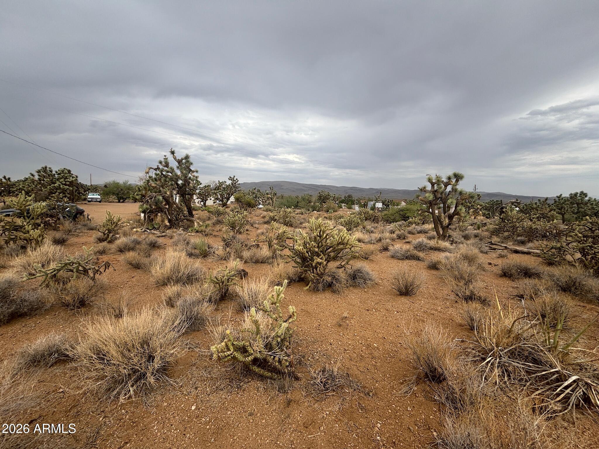 18290 N Smoke Drive 220, Dolan Springs, AZ 86441