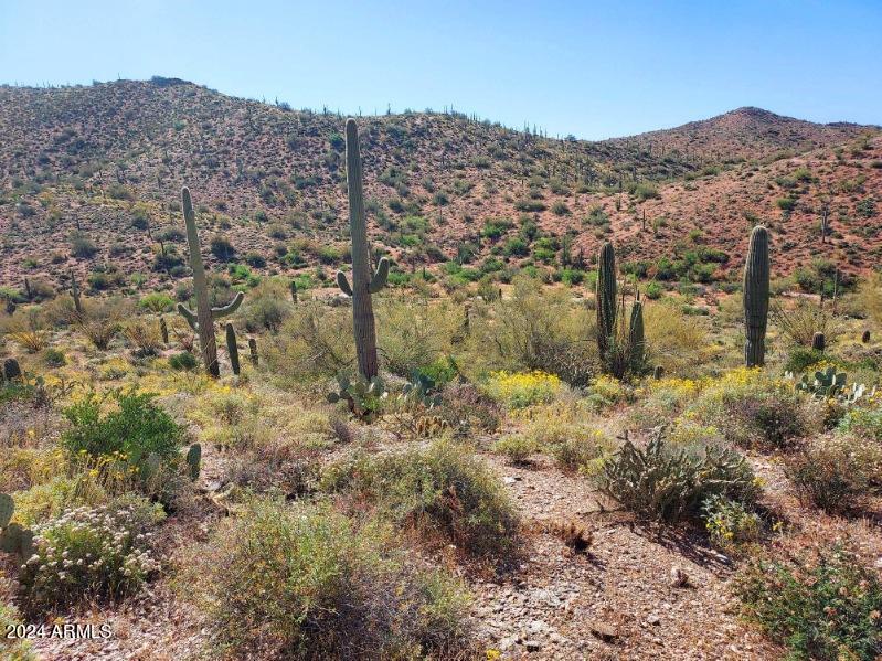 0 E Hardt Tank Road 004L Also known as B, Queen Valley, AZ 85118 — Photo 1 of 8