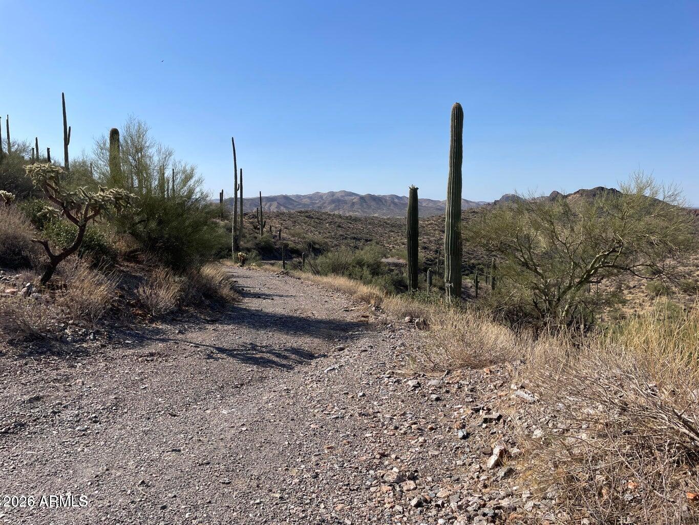 Thumbnail 135