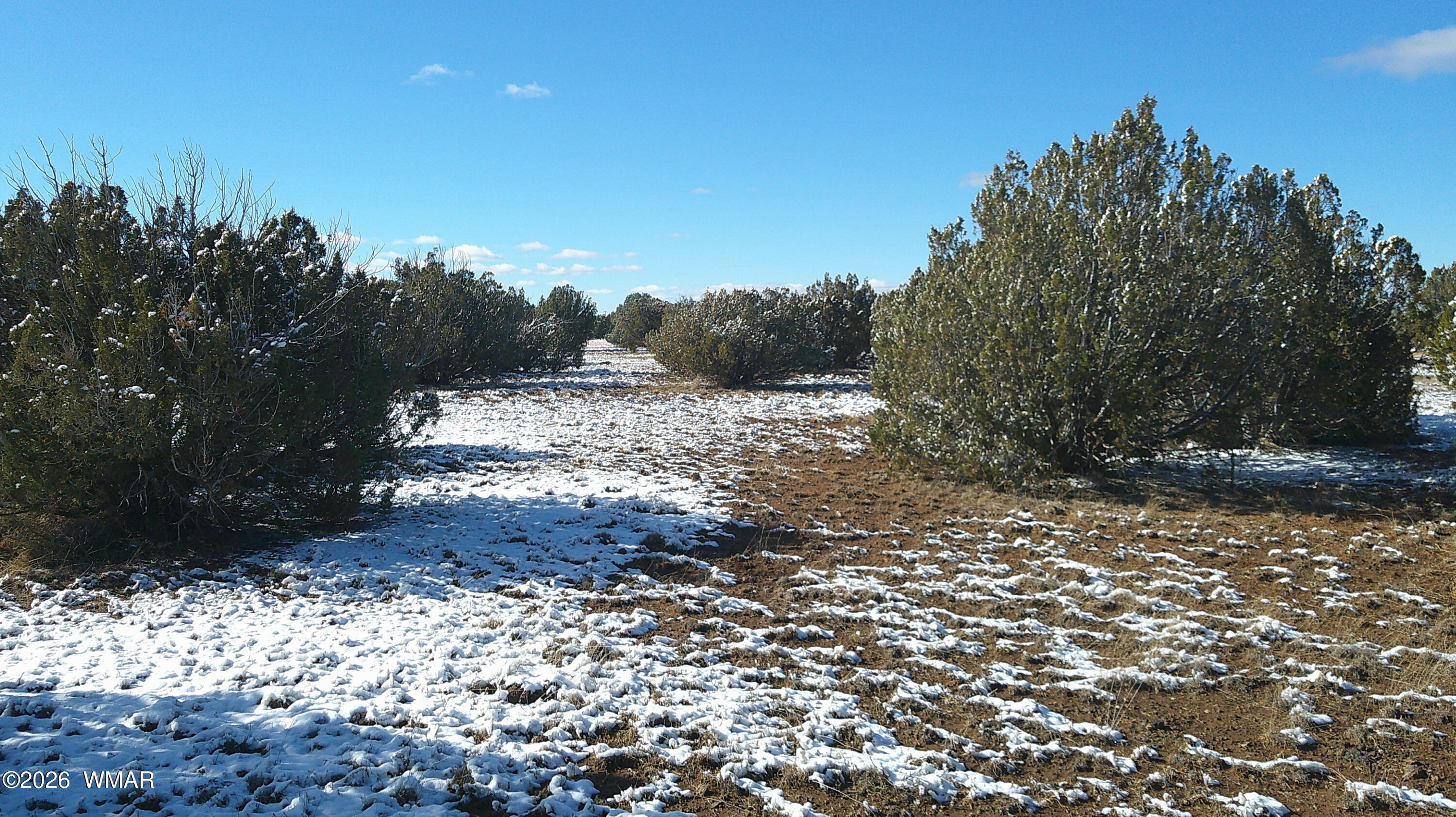 8577 Pine Lane, Snowflake, AZ 85937