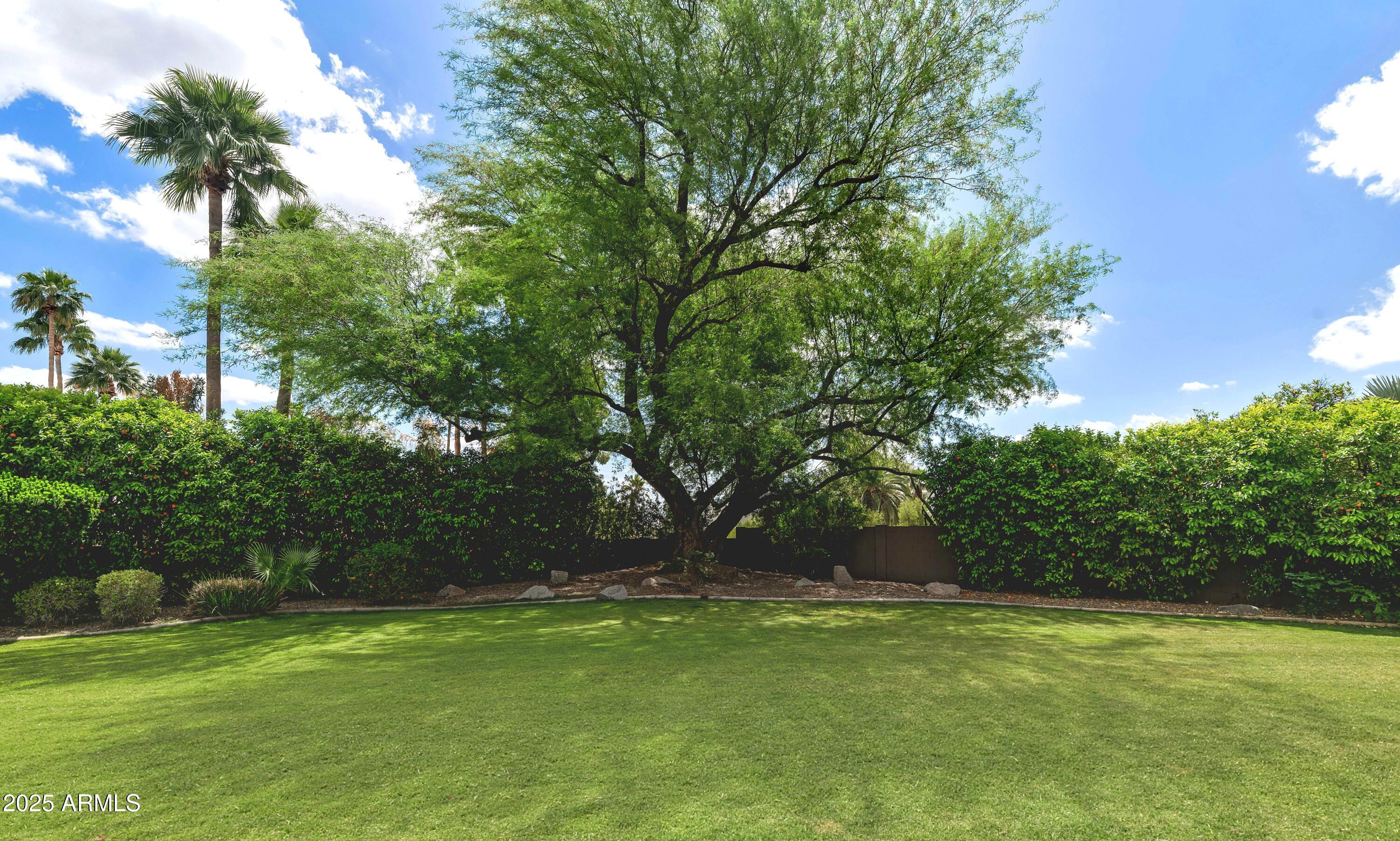 Thumbnail 41