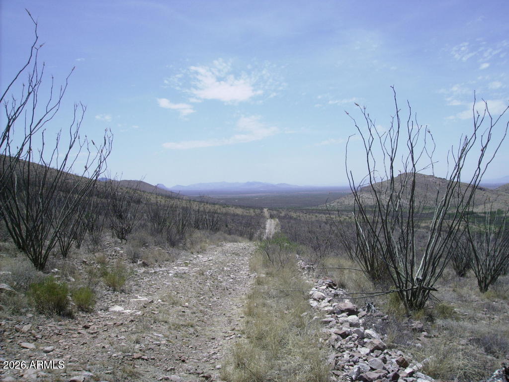 405-77-105 N Wilderness Trail 105, Douglas, AZ 85607