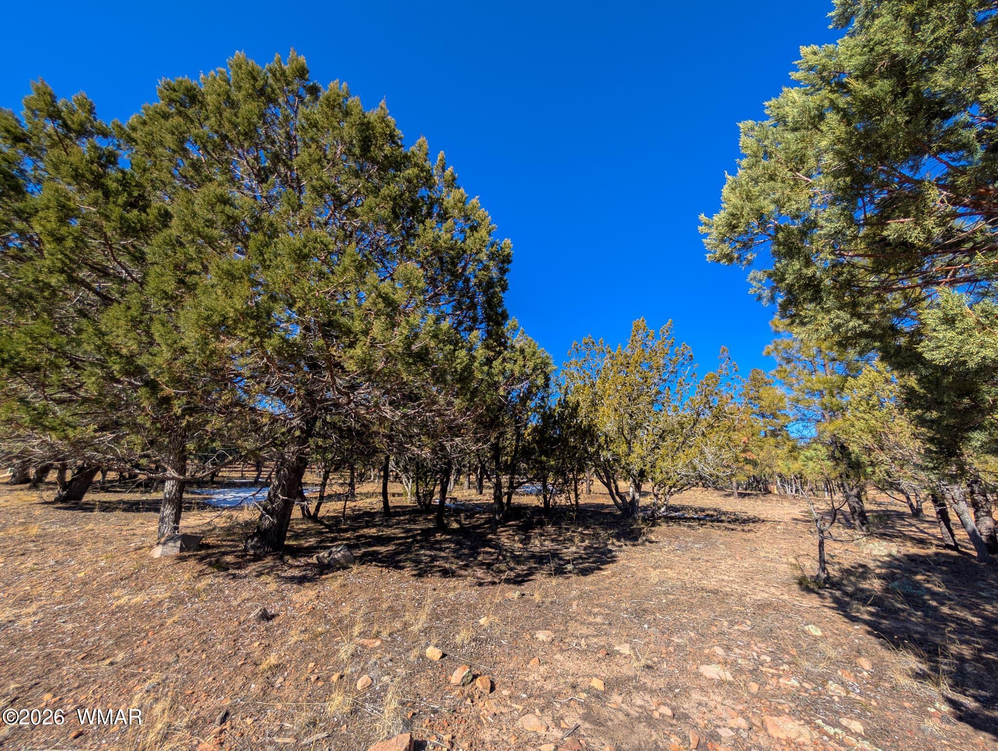 1462 Low Mountain Trail, Heber, AZ 85928