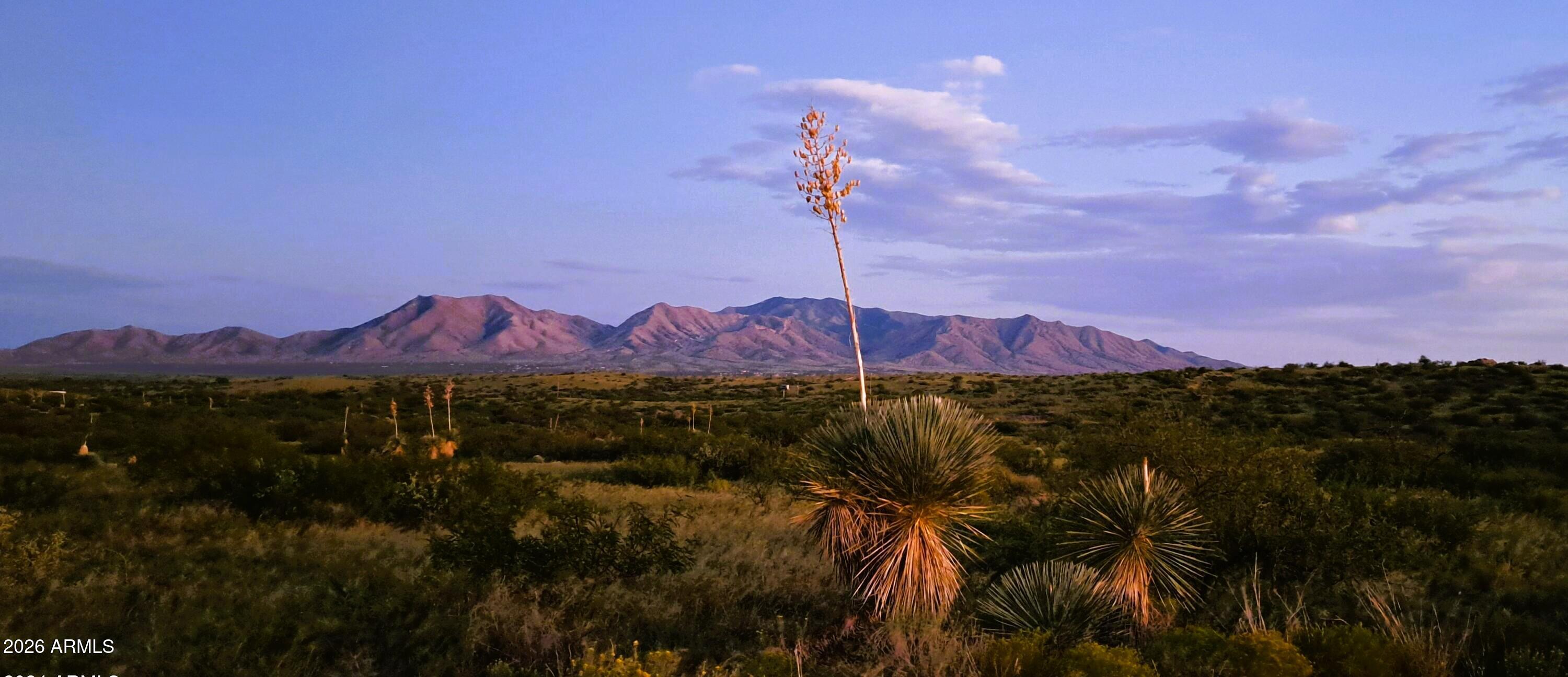 TBD E Walker Ranch Road '-', Dragoon, AZ 85609 — Photo 1 of 31
