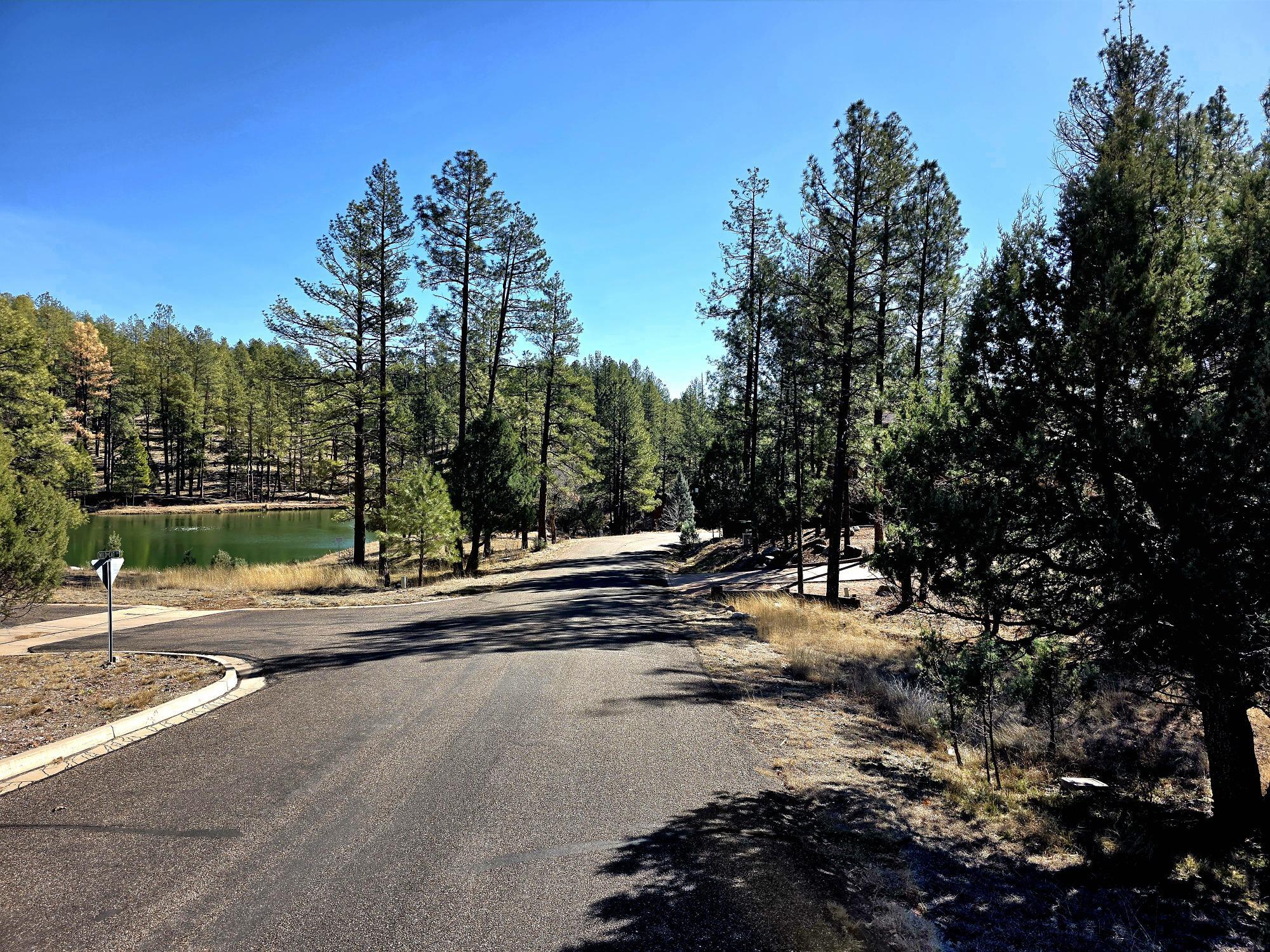 122 S Hunter Creek Drive, Payson, AZ 85541