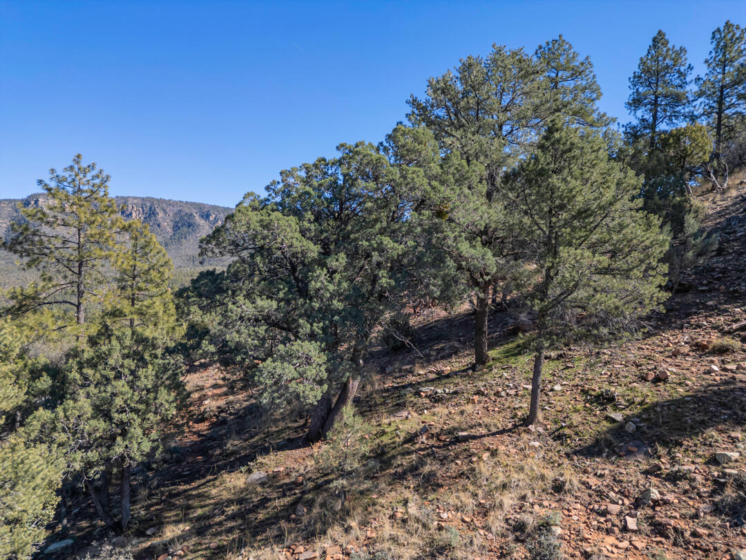 Lot 163 N Portal Drive, Pine, AZ 85544