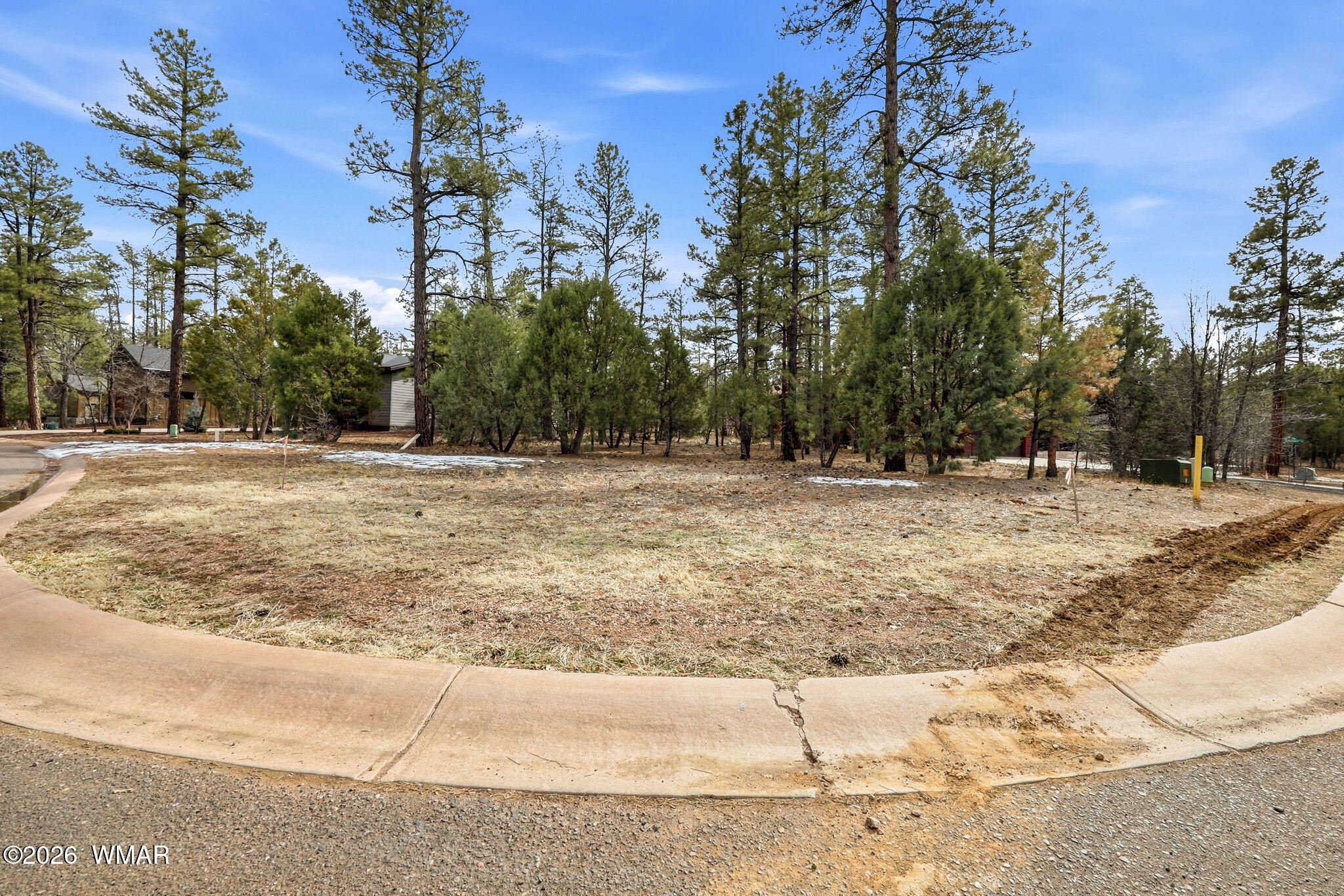 2480 Narrow Leaf Lane, Show Low, AZ 85901