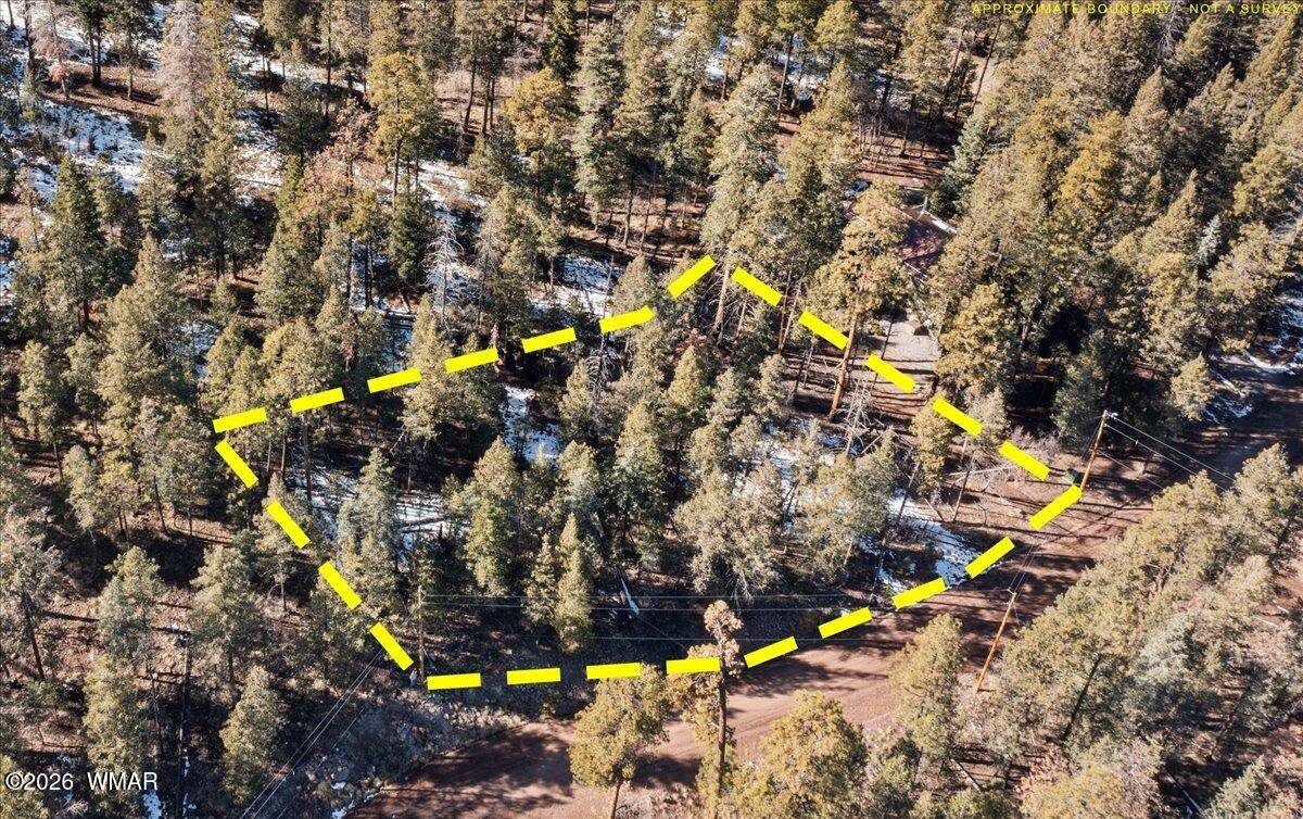 9 County Rd 2073, Alpine, AZ 85920