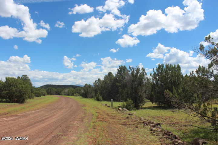 29 Co Rd 3199, Vernon, AZ 85940