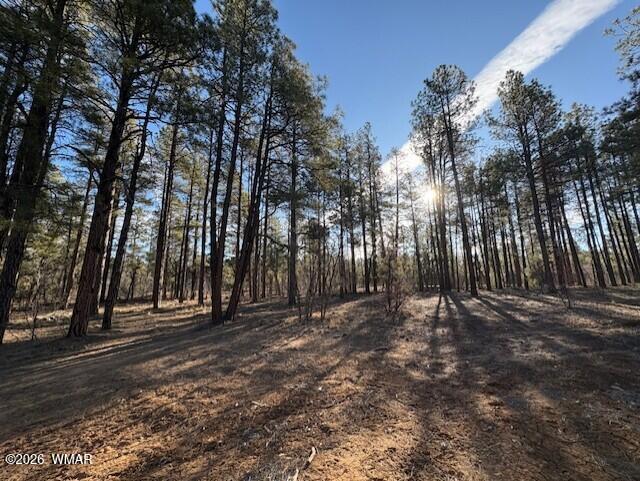 2360 Narrow Leaf Lane, Lot 15, Show Low, AZ 85901