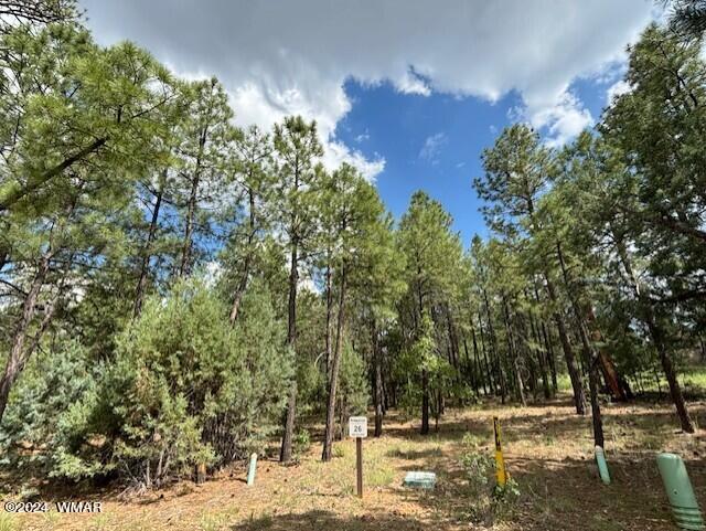 2340 W Pinegrass Road, Lot 26, Show Low, AZ 85901