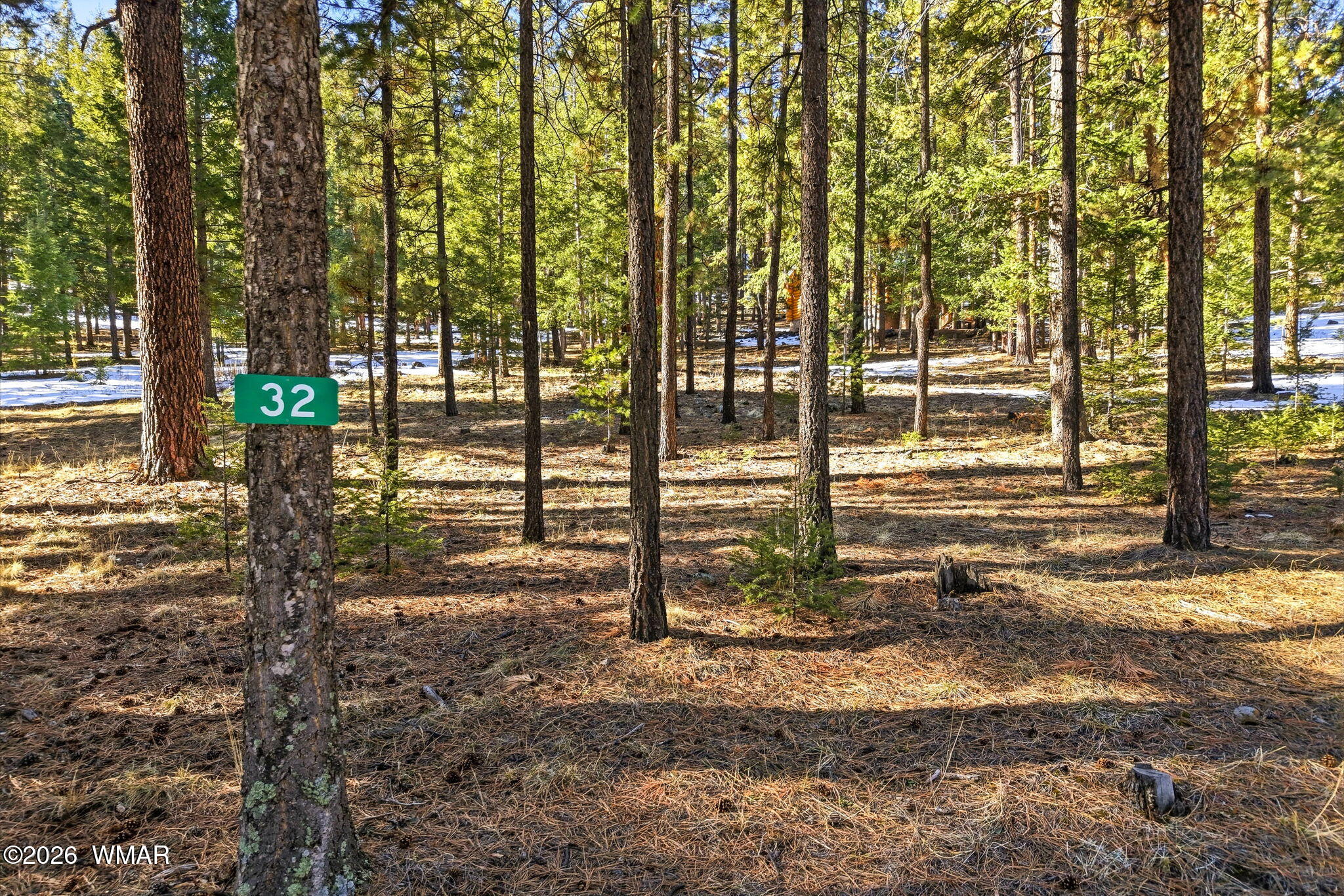 32 N1068, Greer, AZ 85927