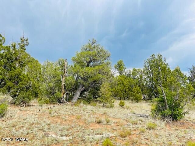 8418 Haven Crest Drive, Happy Jack, AZ 86024