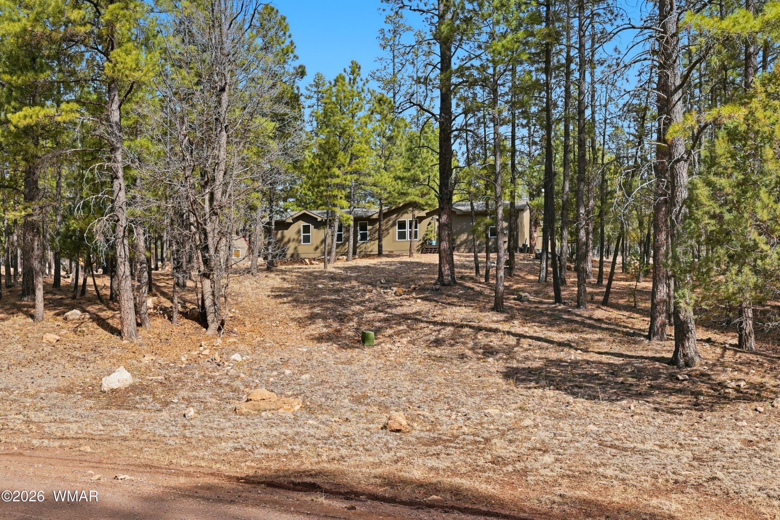 2381 Blue Ridge Drive, Happy Jack, AZ 86024