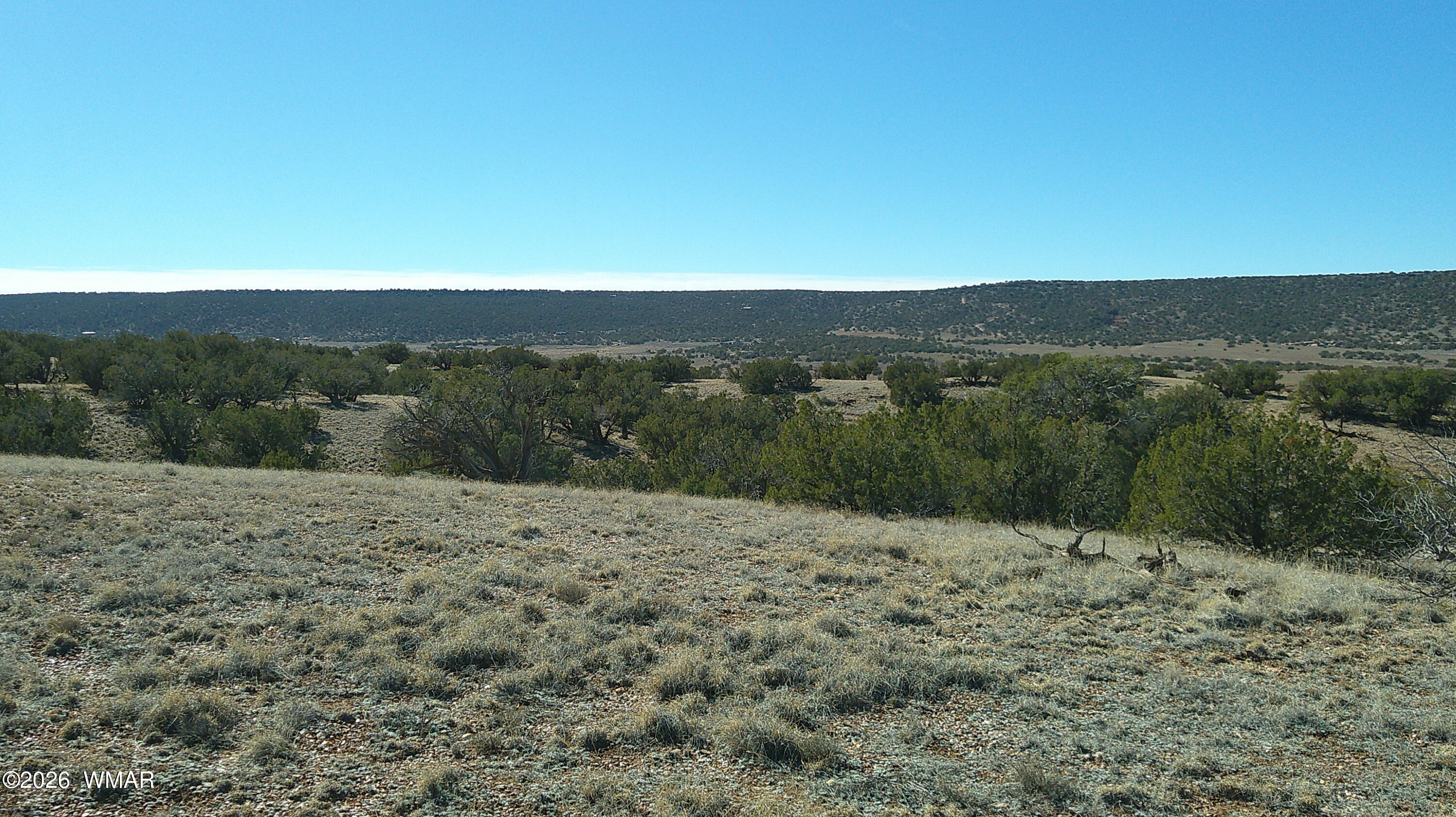 4523 Stirrup Road, Snowflake, AZ 85937