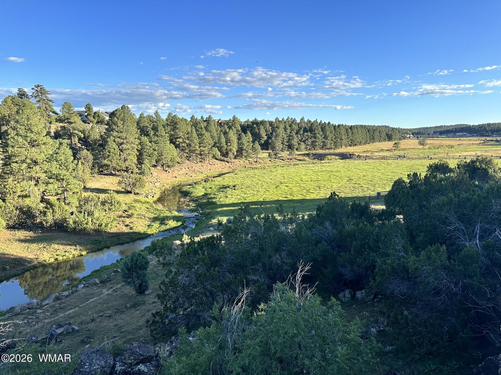 010D E OWENS, Show Low, AZ 85901