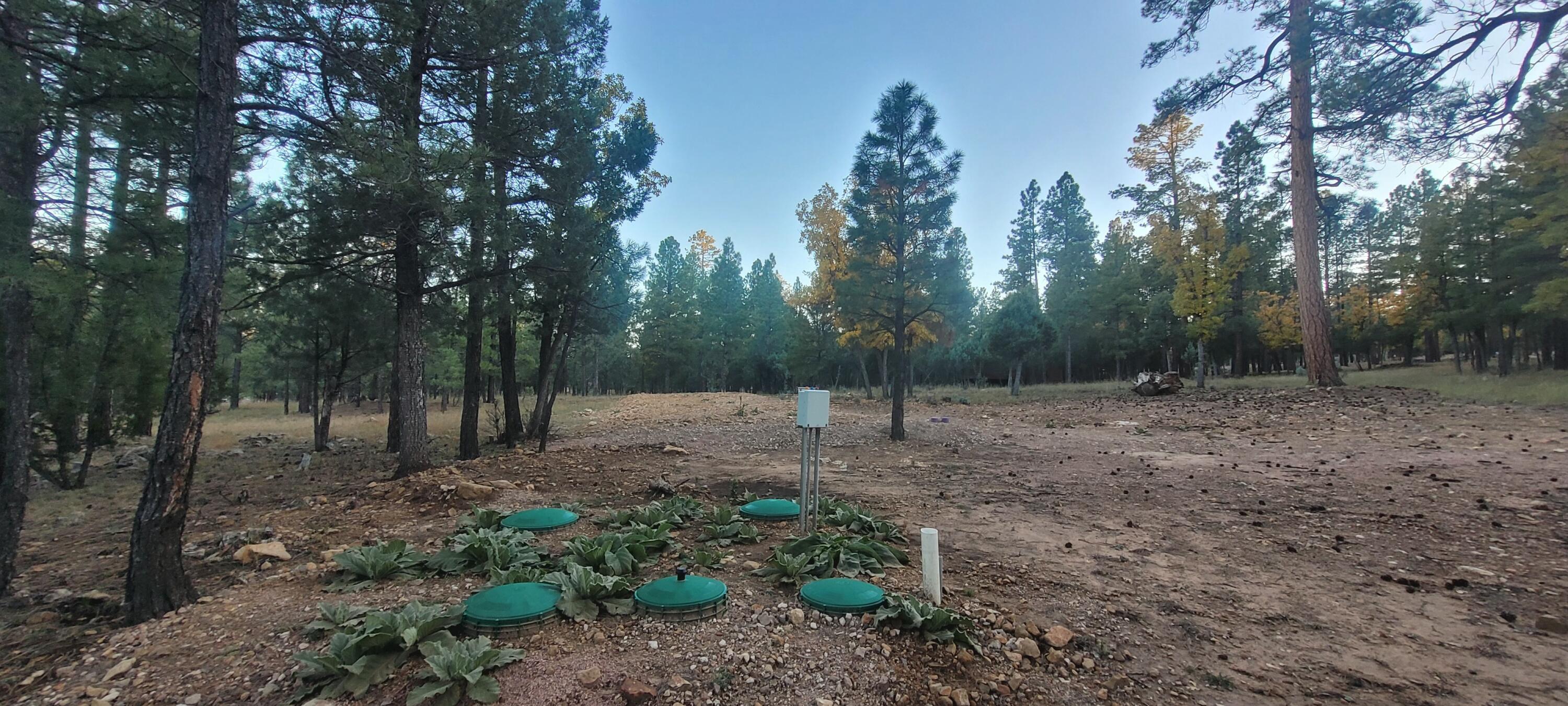 2857 Sparrow Drive, Happy Jack, AZ 86024