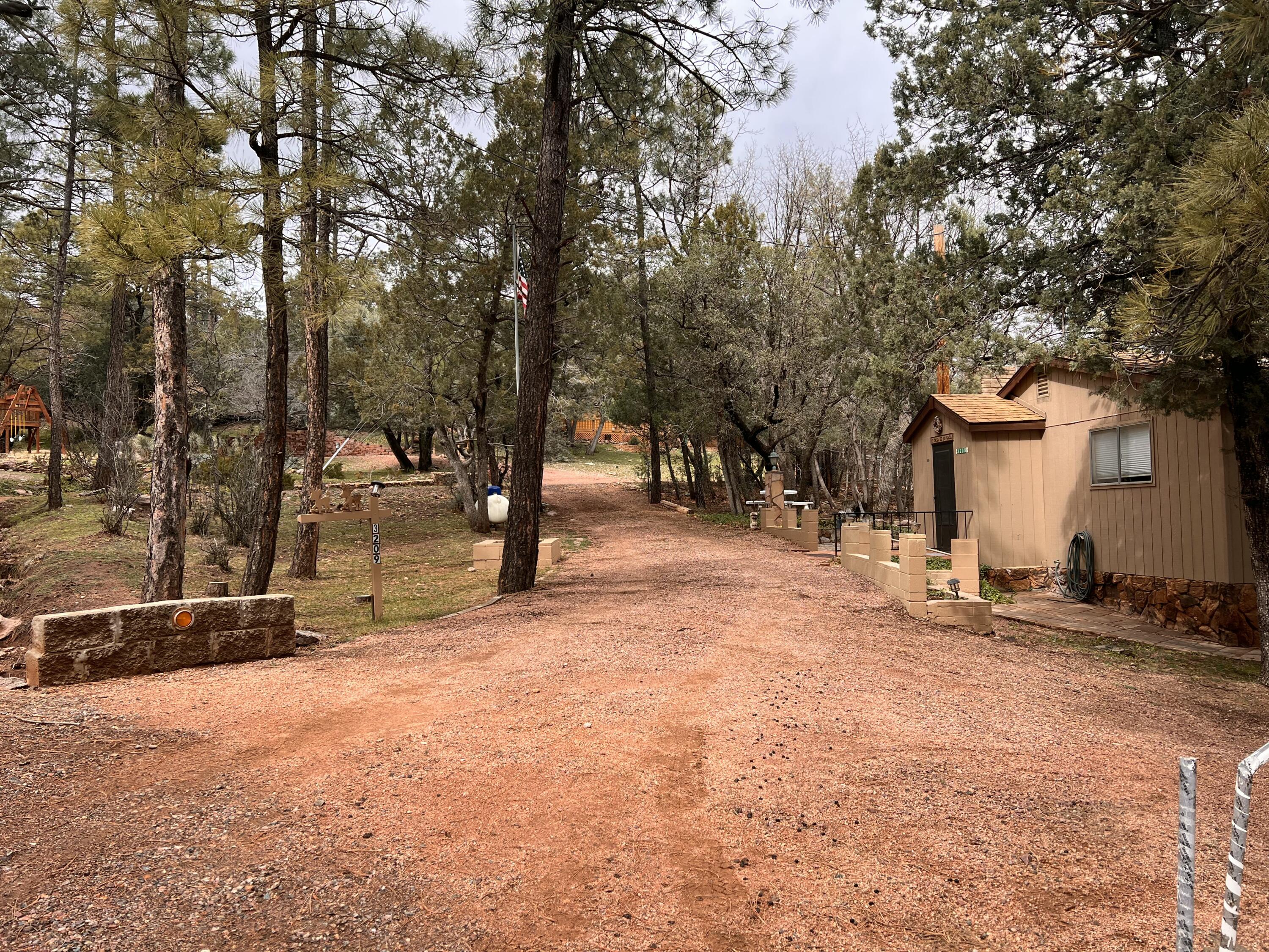 3209 N Miller Drive, Pine, AZ 85544