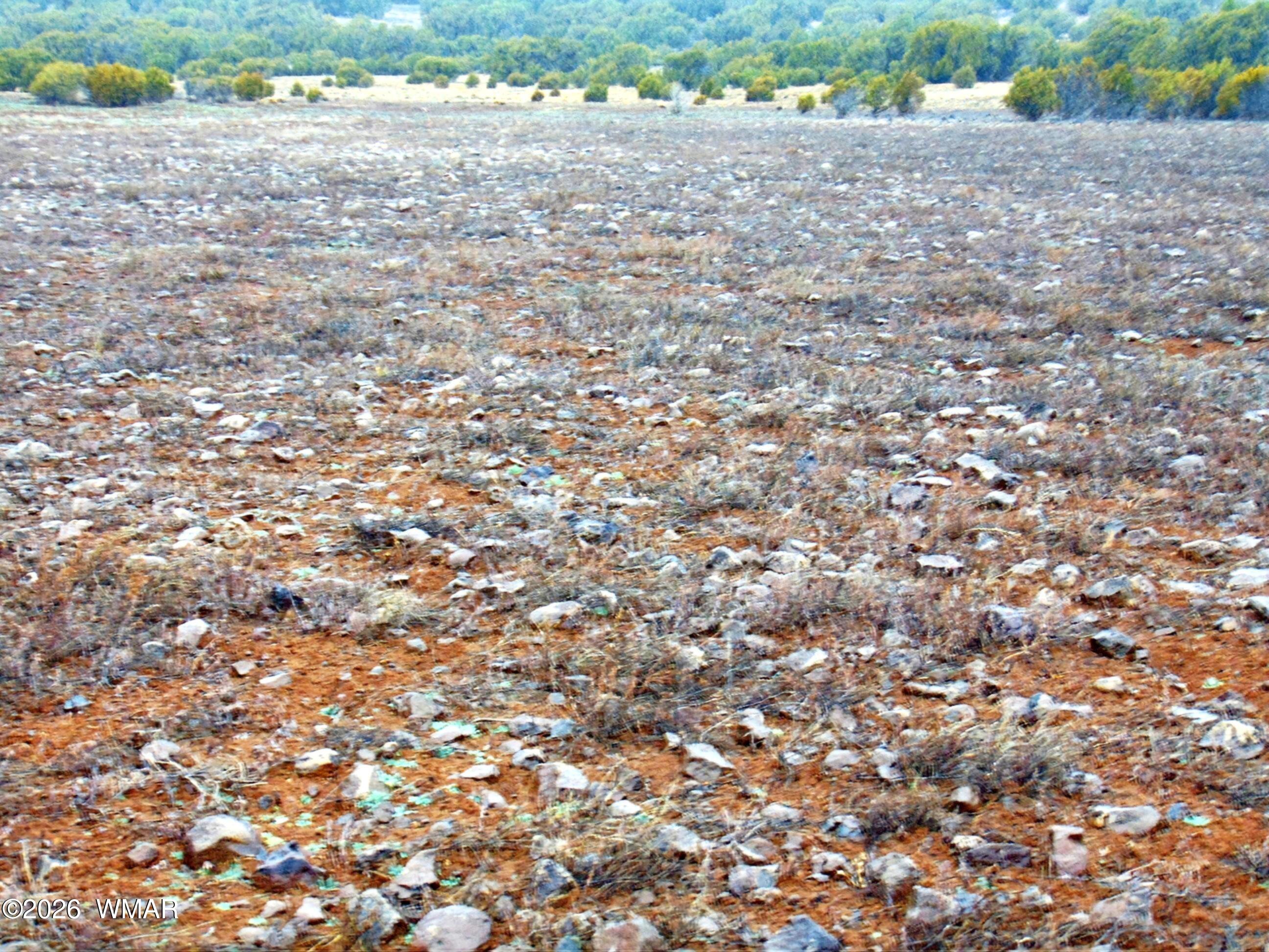 196 County Road 8206, Concho, AZ 85924