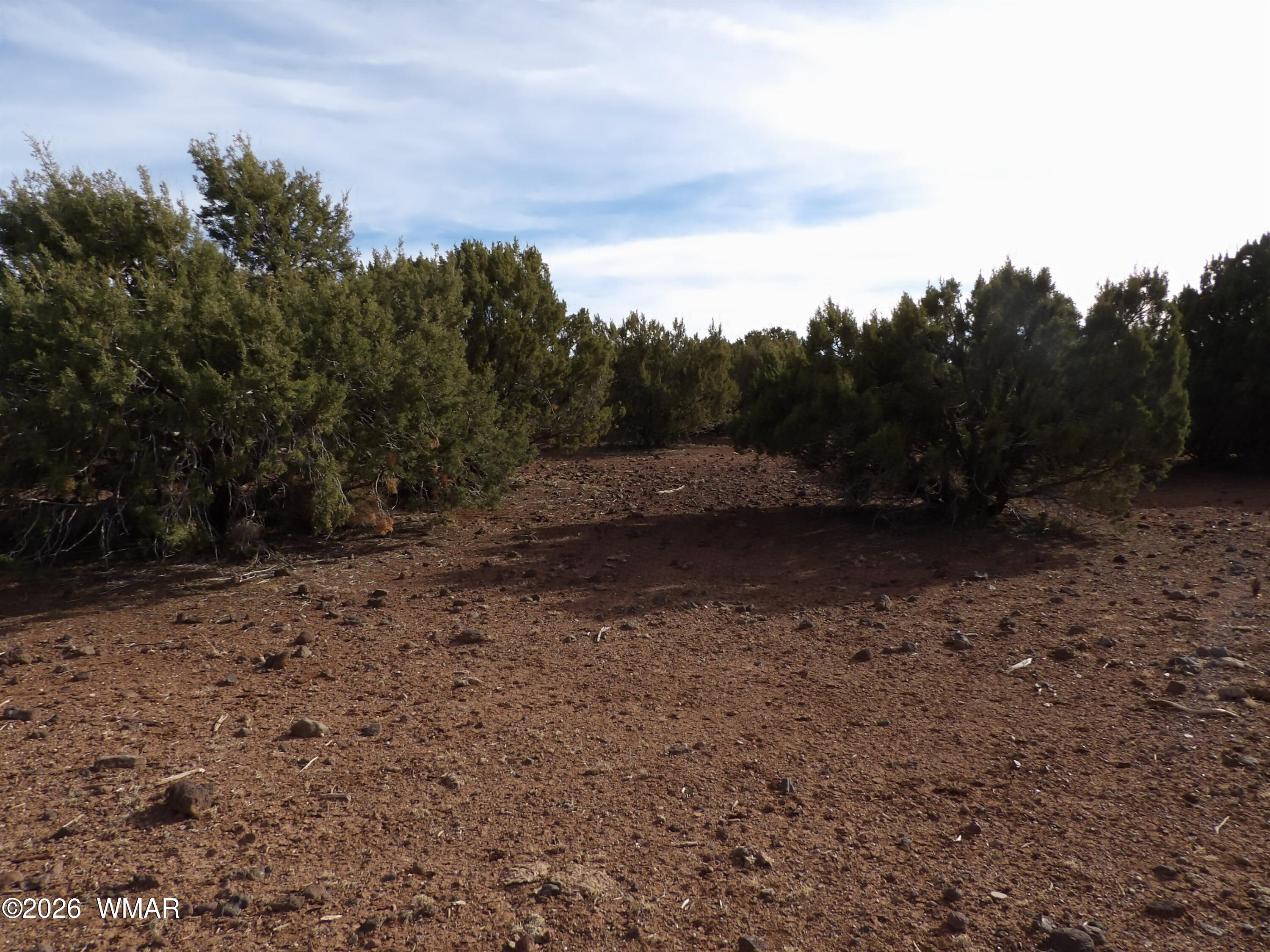 Lot 14B N3411, Vernon, AZ 85940