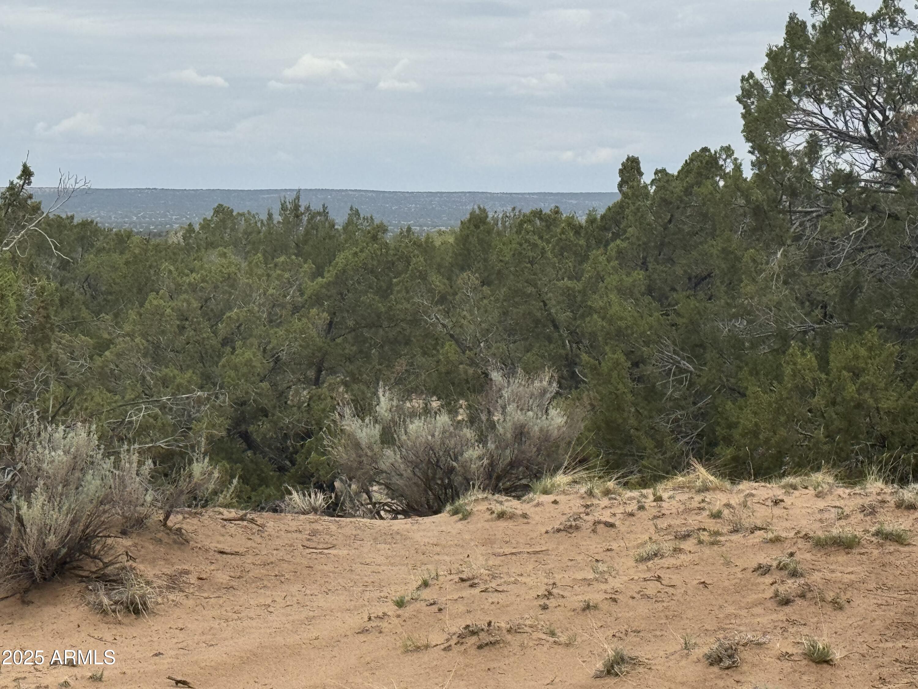 Lot 78 Witch Well Ranches 78, St Johns, AZ 85936 — Photo 1 of 15