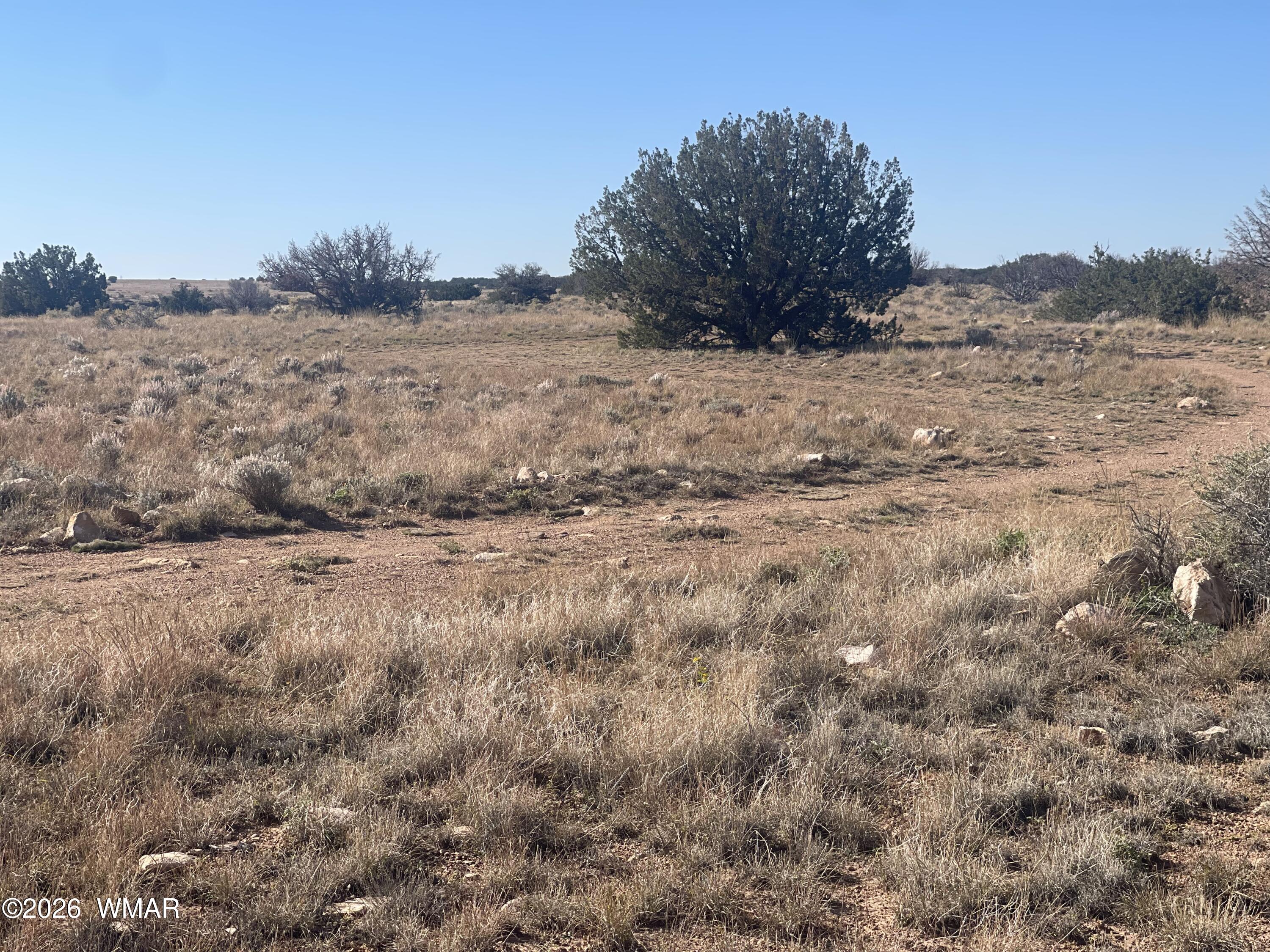 1515 Pumpkin Patch, Heber, AZ 85928