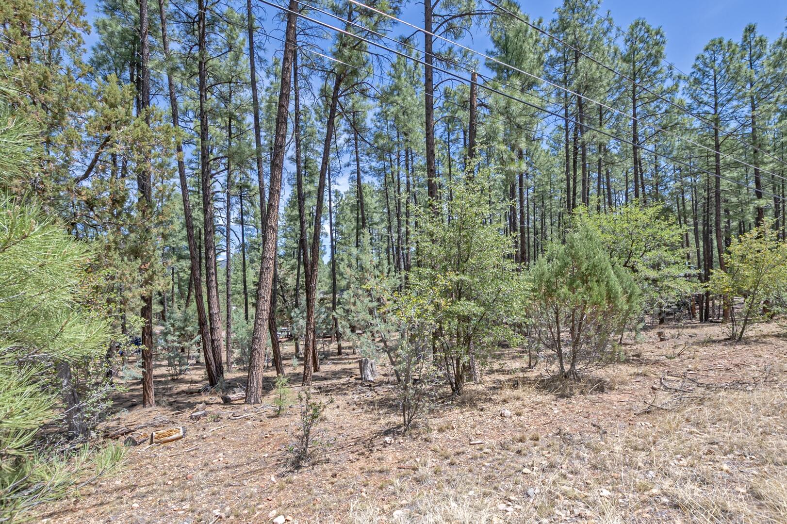 lot 138 Marcy Way, Pine, AZ 85544 — Photo 1 of 6