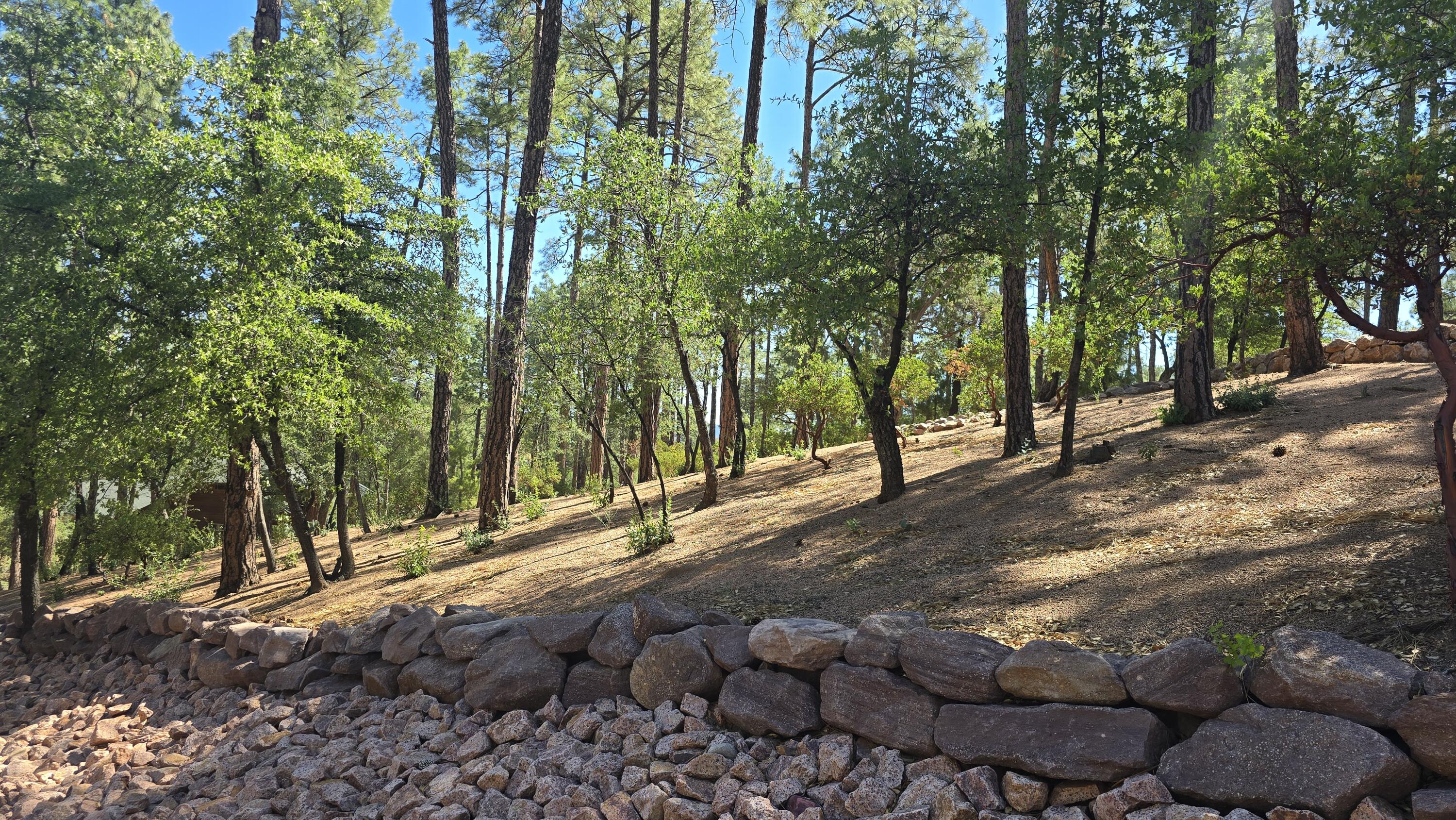 401 N Grapevine Drive, Payson, AZ 85541 — Photo 1 of 17