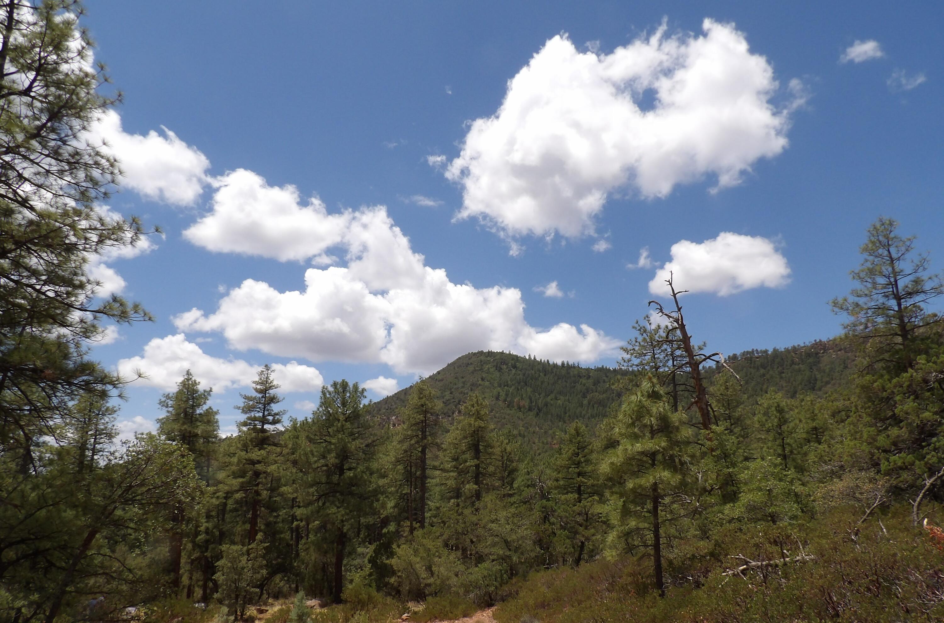 018E Pine Hollow Trail, Pine, AZ 85544 — Photo 1 of 8