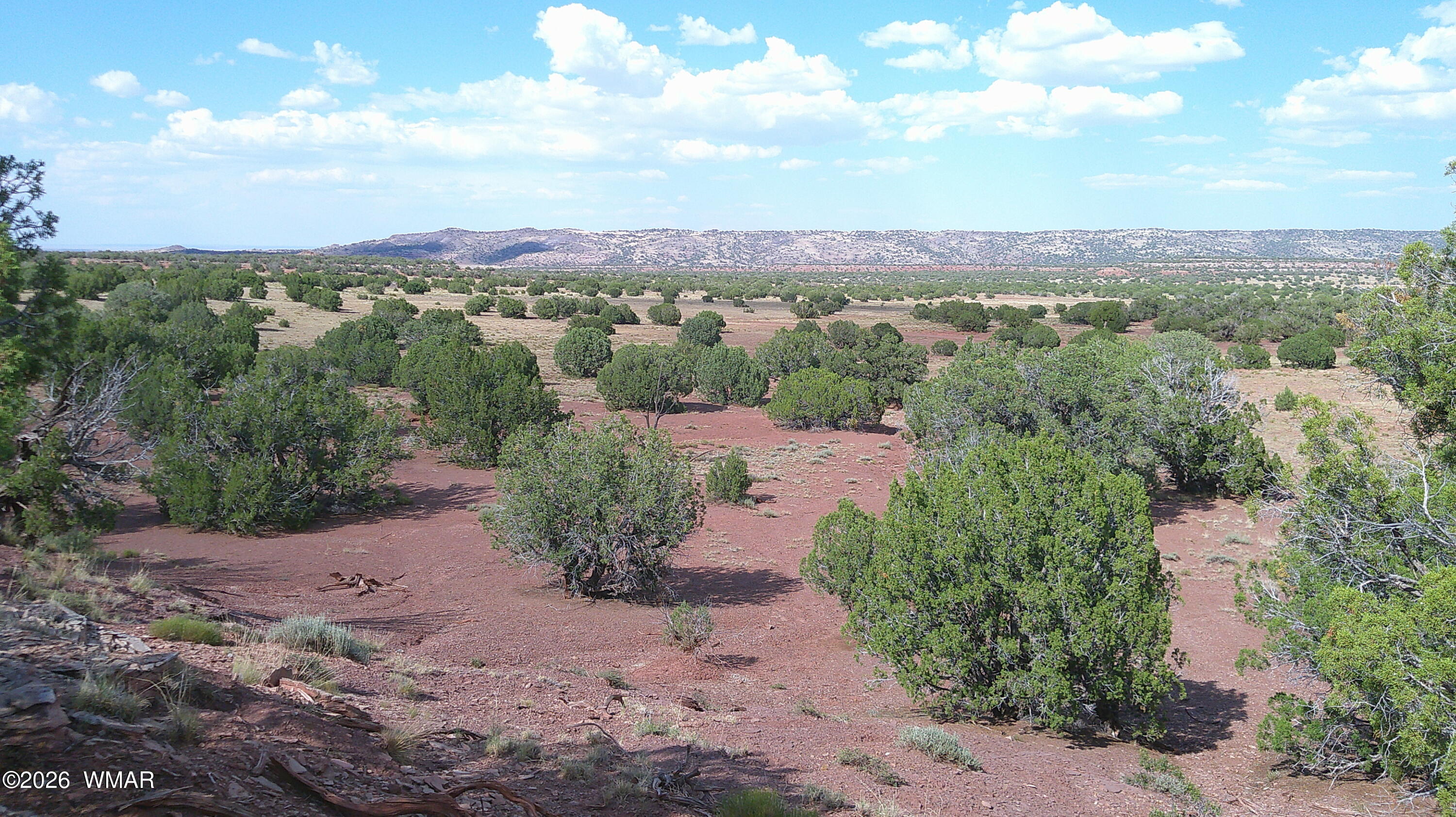 TBD Concho 10ac, Concho, AZ 85924