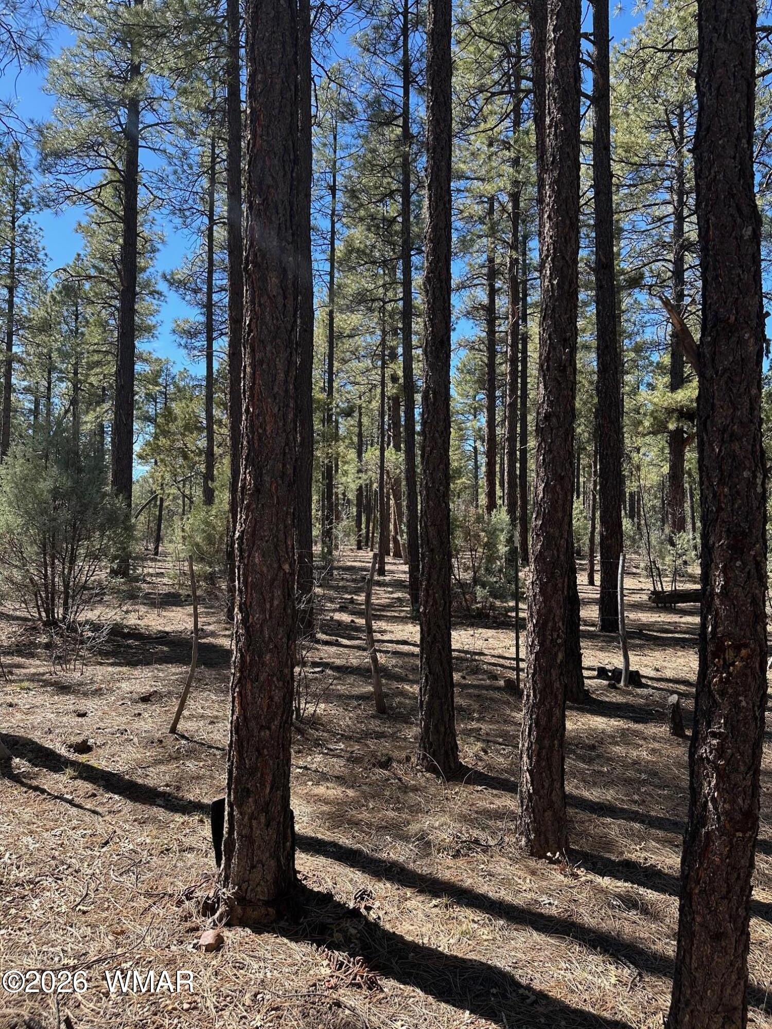 3737 Bear Trail, Lakeside, AZ 85929 — Photo 1 of 11