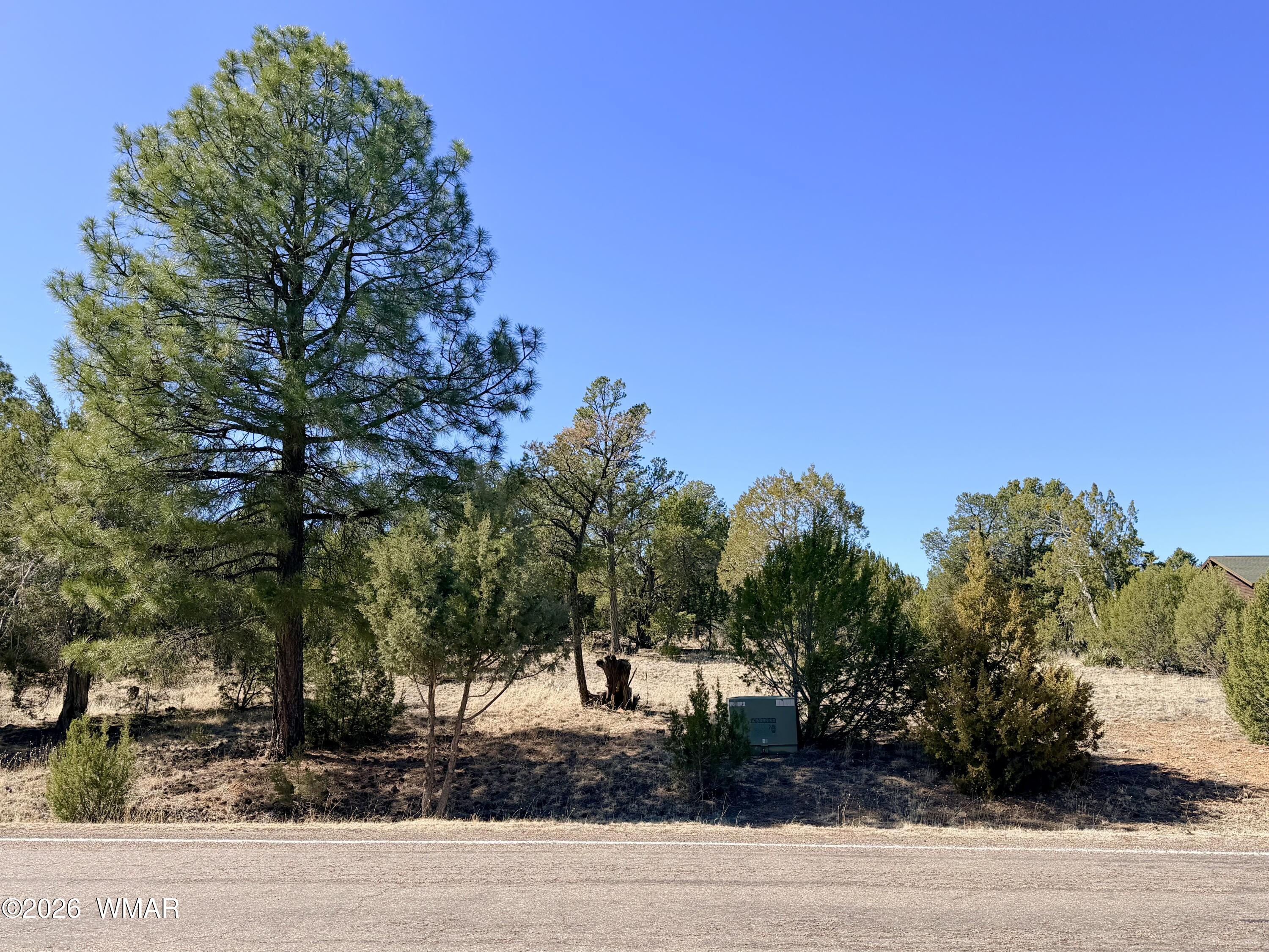 3344 Stone Bridge Trail, Heber, AZ 85928
