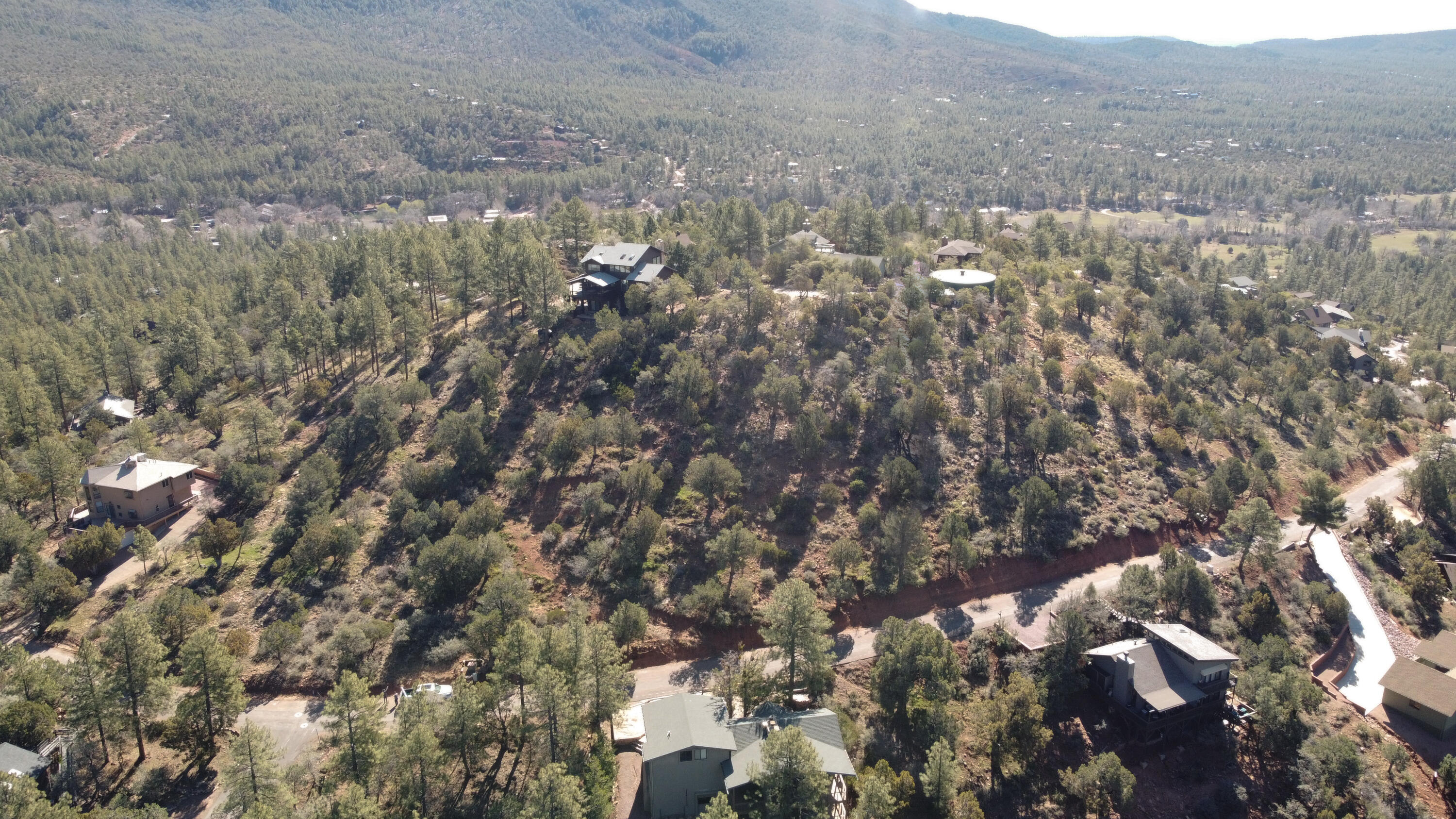 165 N Portal Drive, Pine, AZ 85544