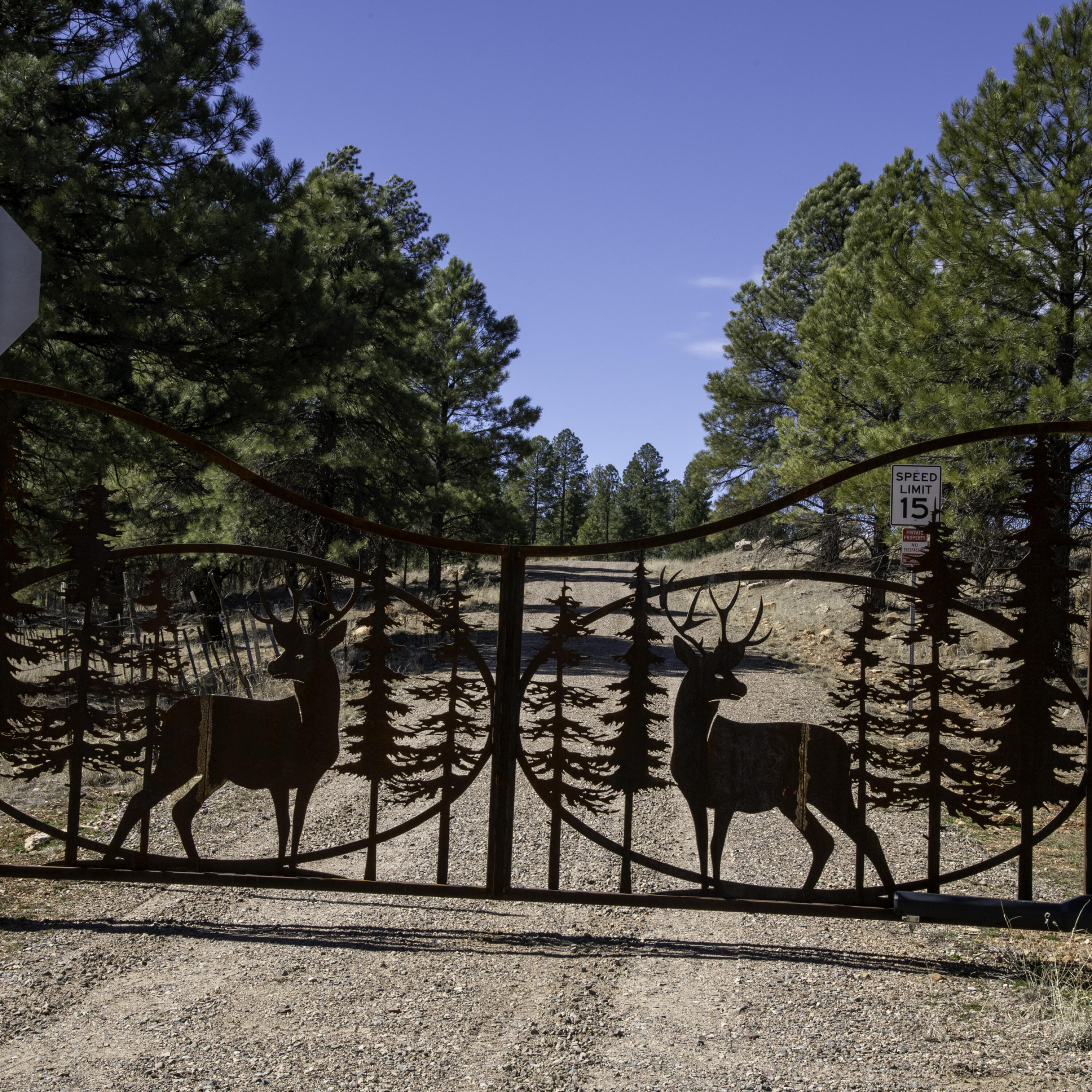 7770 Forest Service 122 Road, Happy Jack, AZ 86024 — Photo 1 of 31