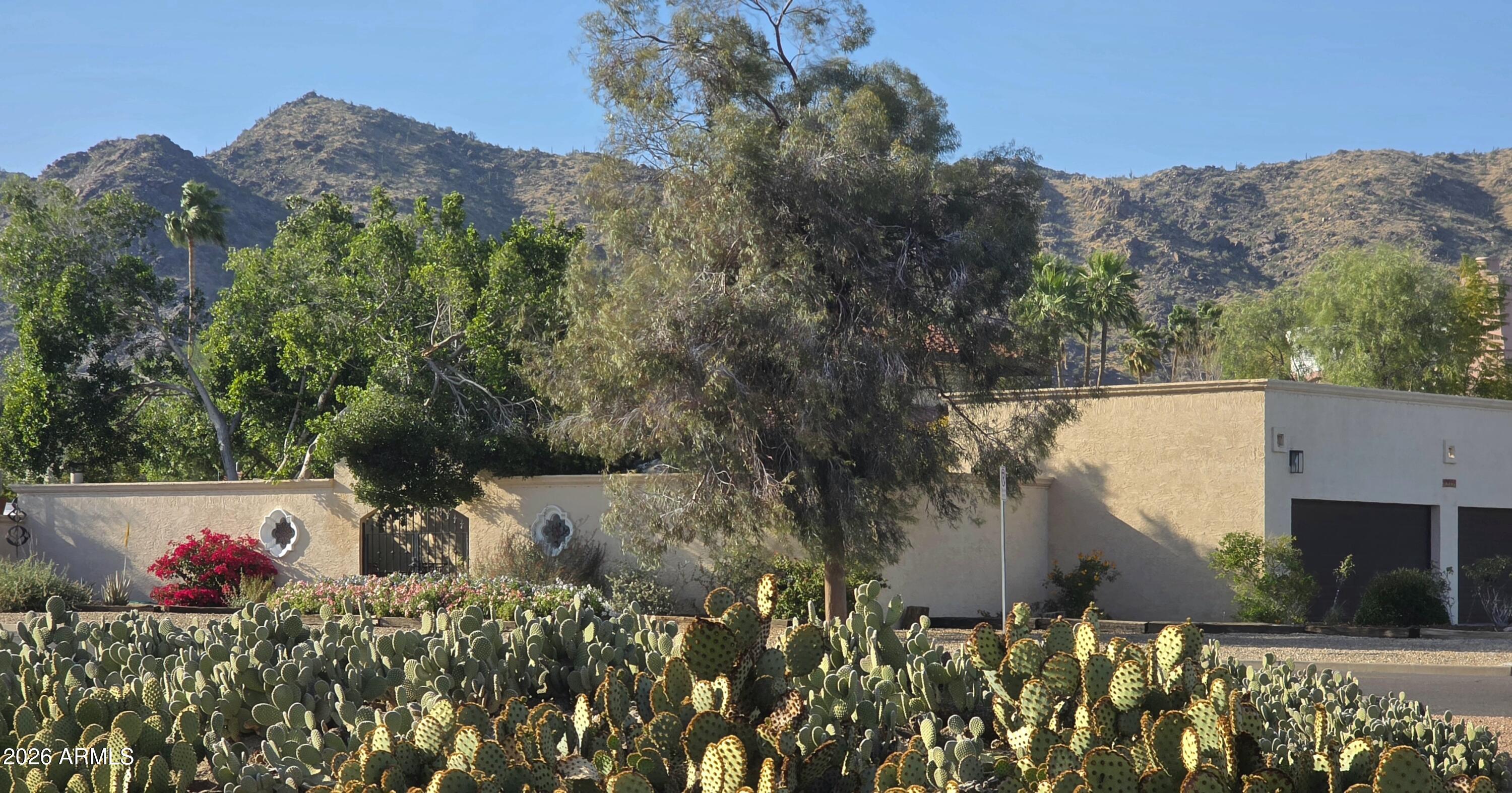 12054 S TONALEA Drive, Phoenix, AZ 85044