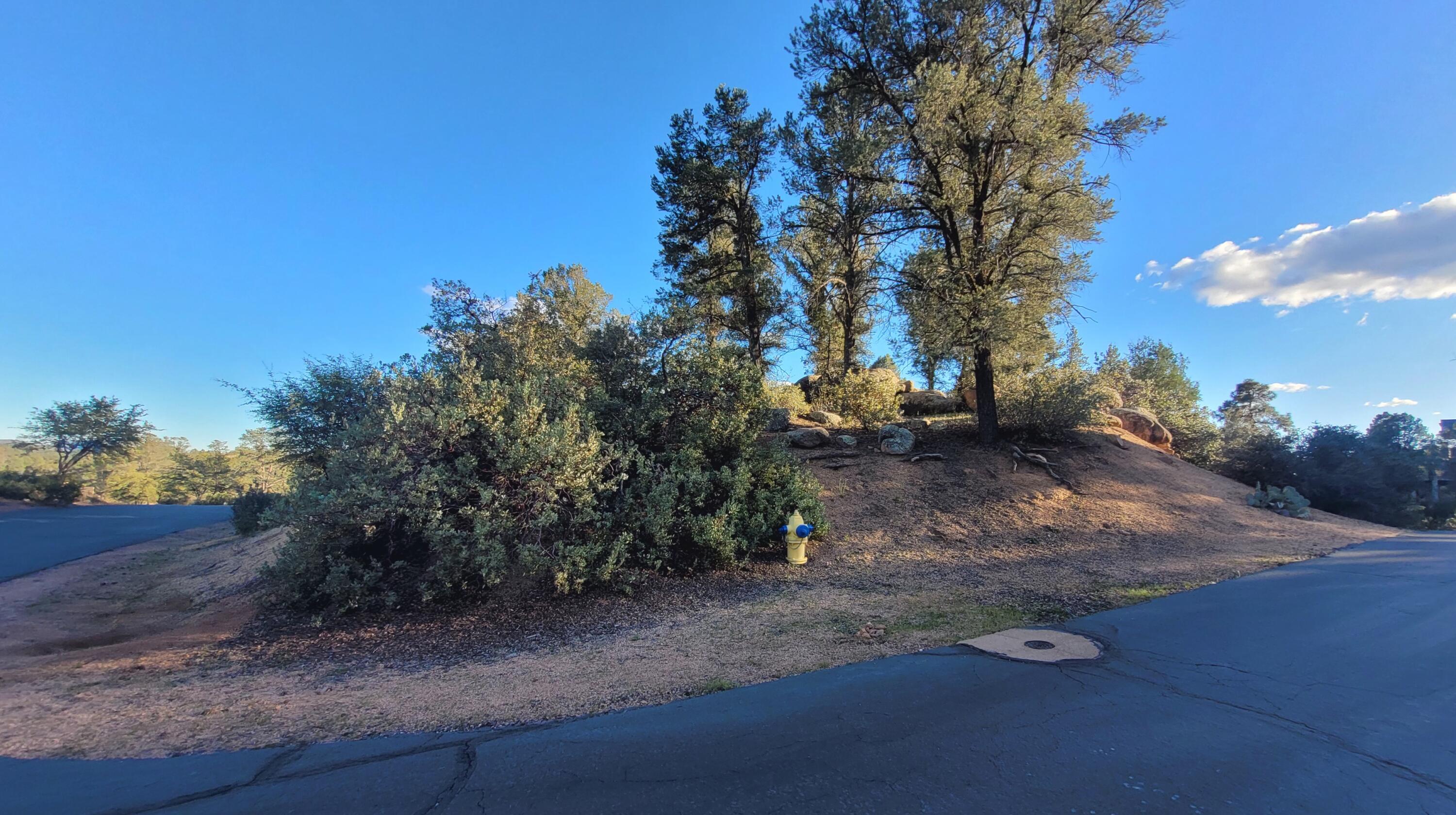 105 N Feather Plume Circle, Payson, AZ 85541 — Photo 1 of 10