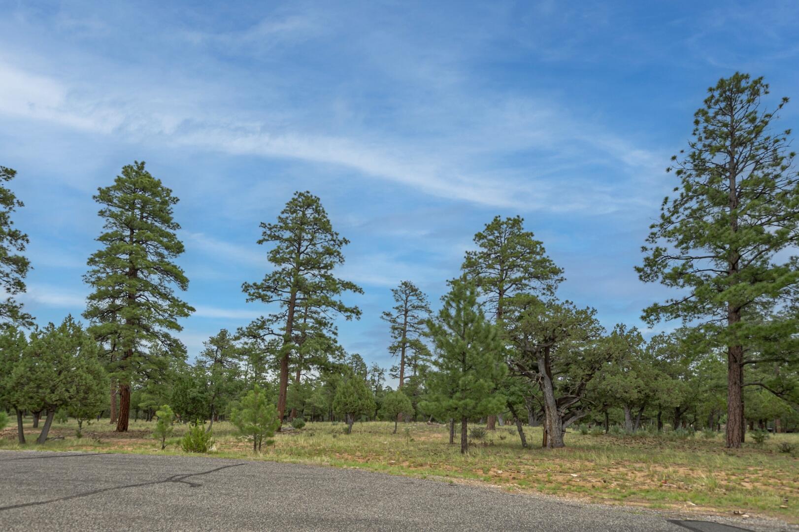 2961 Eagle Ridge Circle, Happy Jack, AZ 86024 — Photo 1 of 14