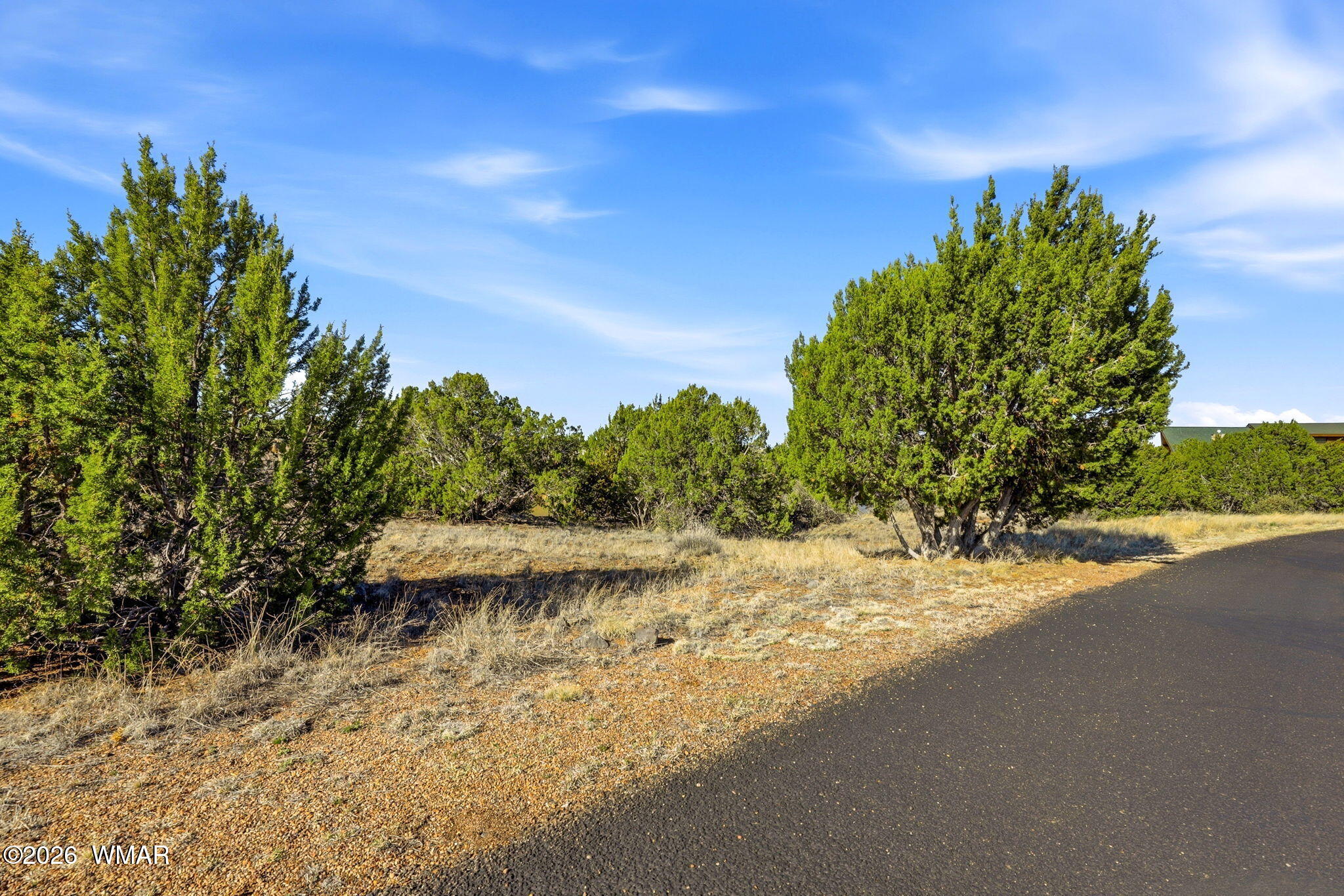 8379 Lake View Drive, Show Low, AZ 85901