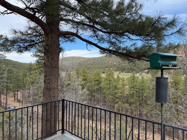 9773 W Juniper Road, Strawberry, AZ 85544