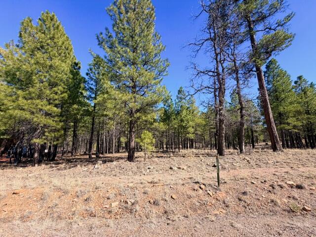 1865 Pine Canyon Drive, Happy Jack, AZ 86024