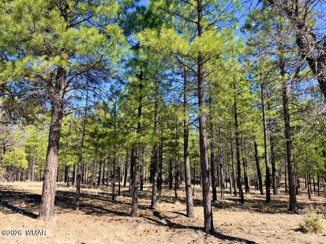 1947 Pine Canyon Drive, Happy Jack, AZ 86024