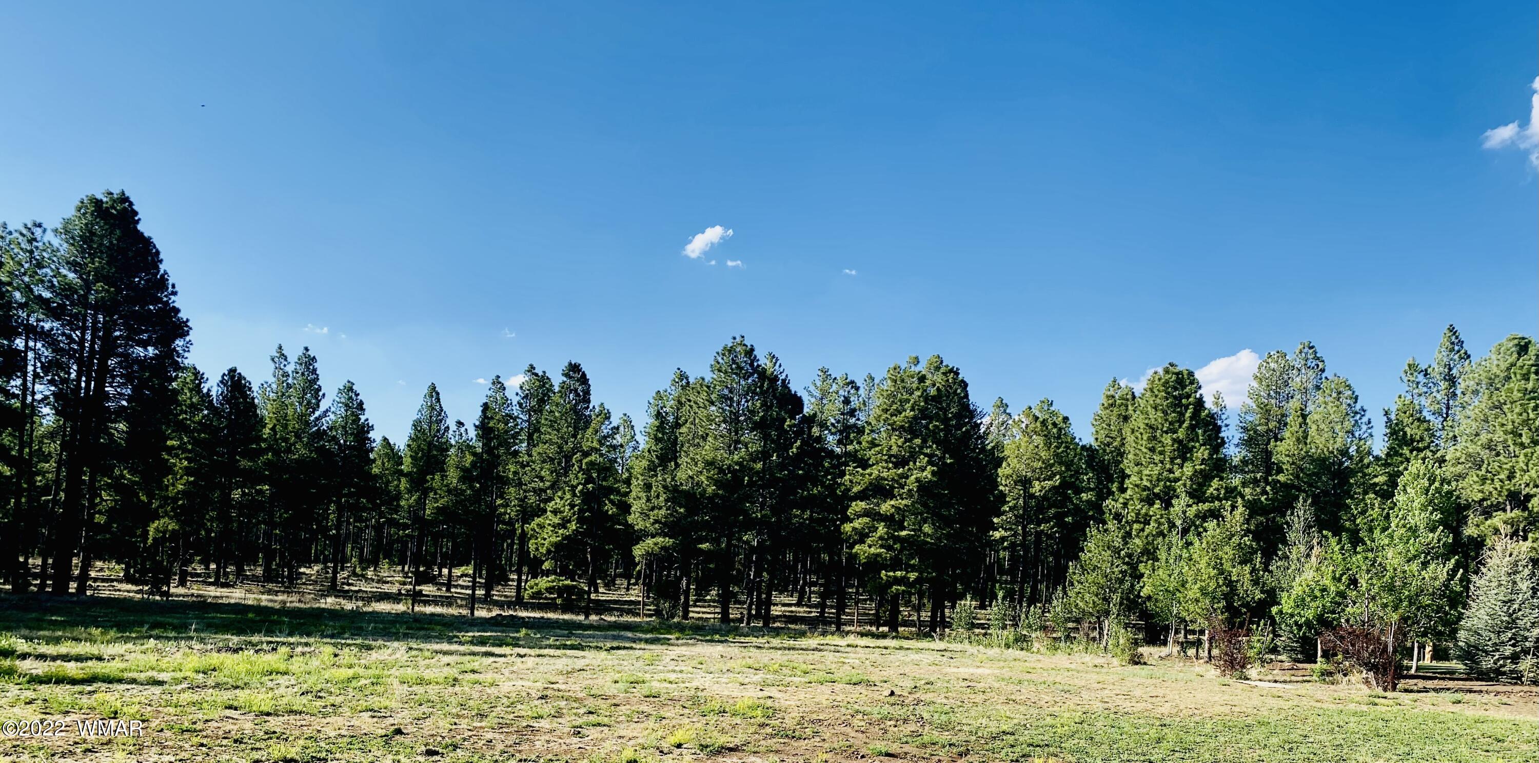 9592 Sierra Springs Drive, Pinetop, AZ 85935