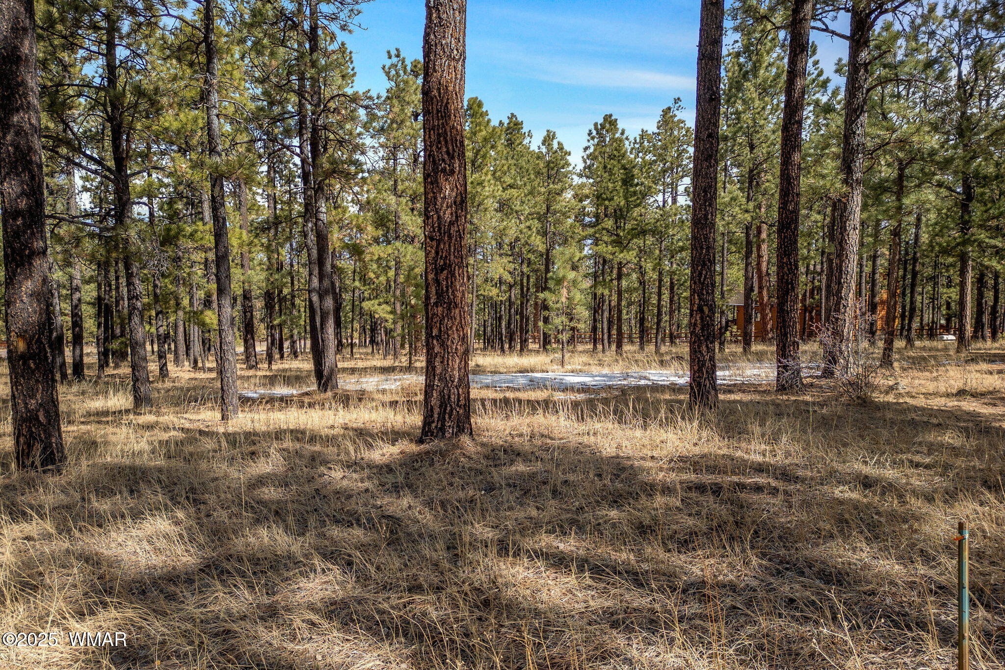 3 N1062, Greer, AZ 85927