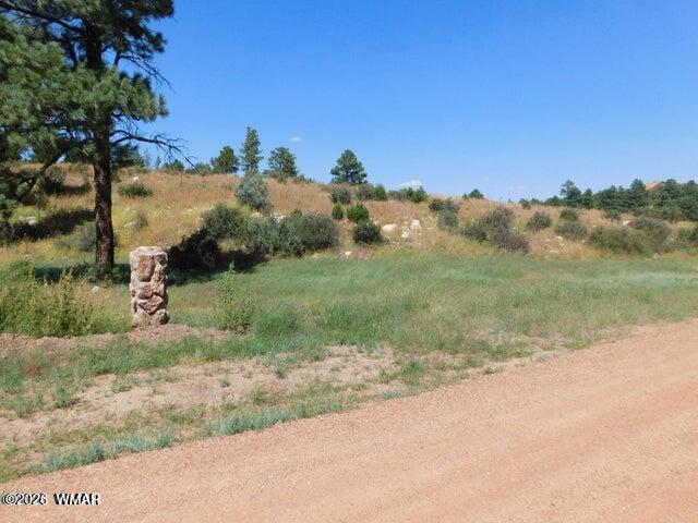 2806-2808 Pine Hill Drive, Overgaard, AZ 85933