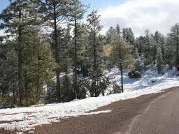 3378 Windy Lane, Heber, AZ 85928