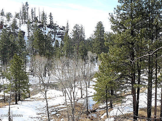 3369 Windy Lane, Heber, AZ 85928