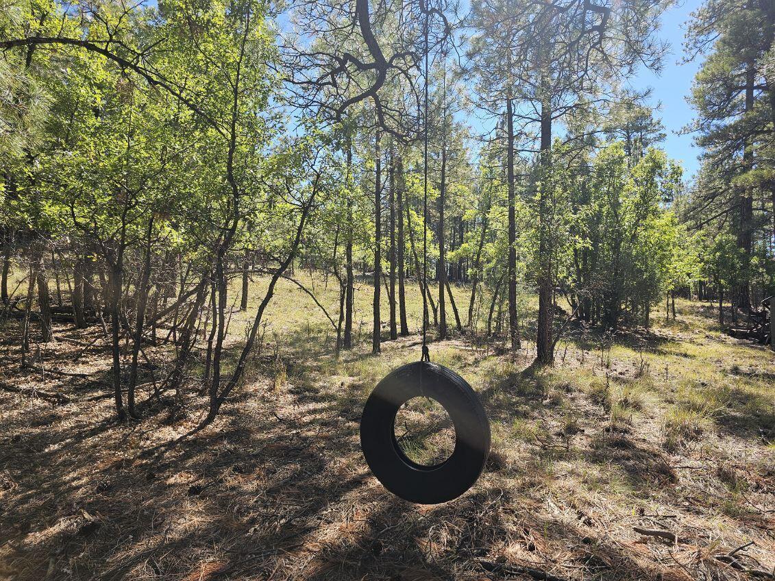 2563 Pine Valley Road, Happy Jack, AZ 86024 — Photo 1 of 7