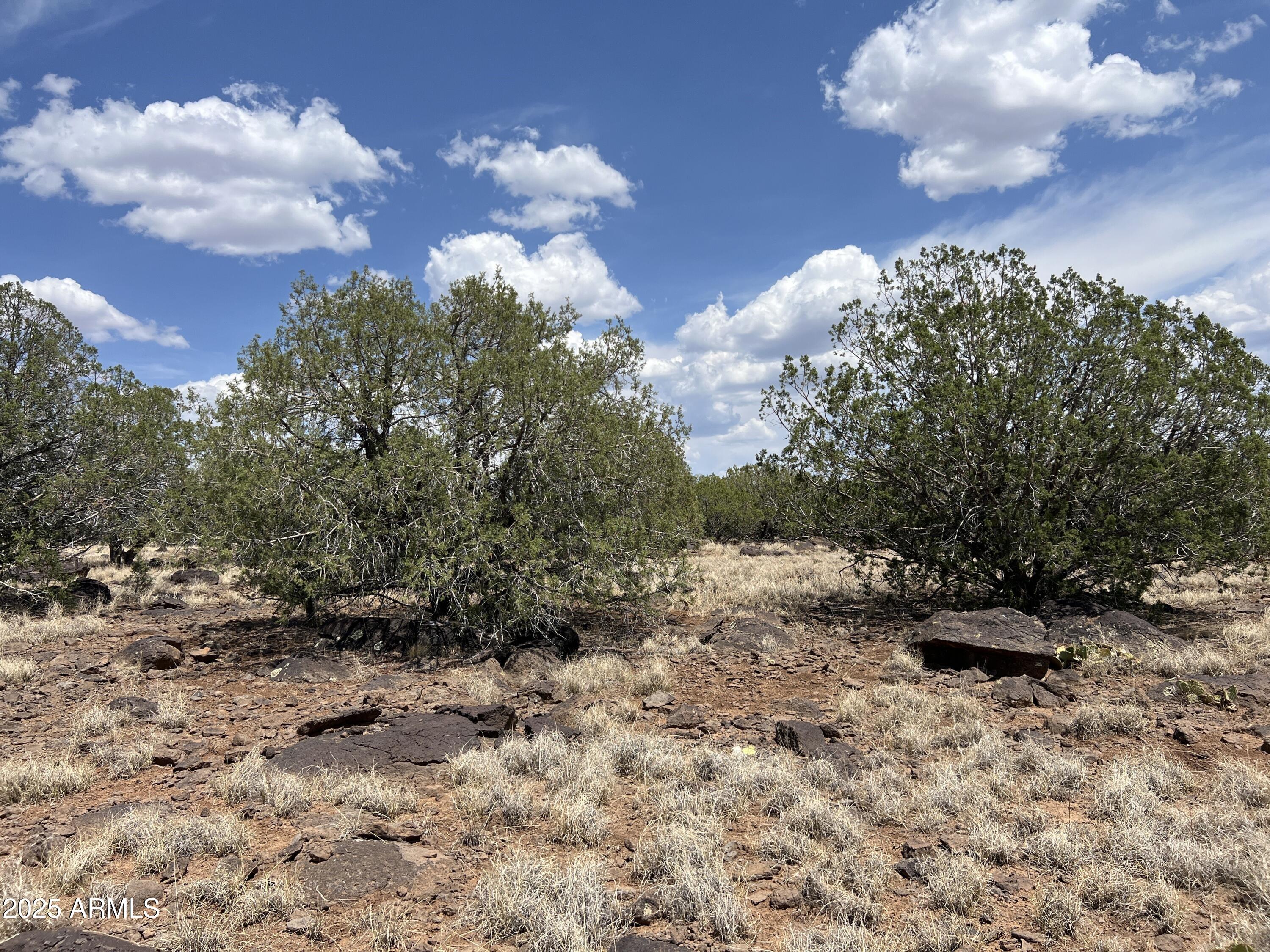 Thumbnail 18
