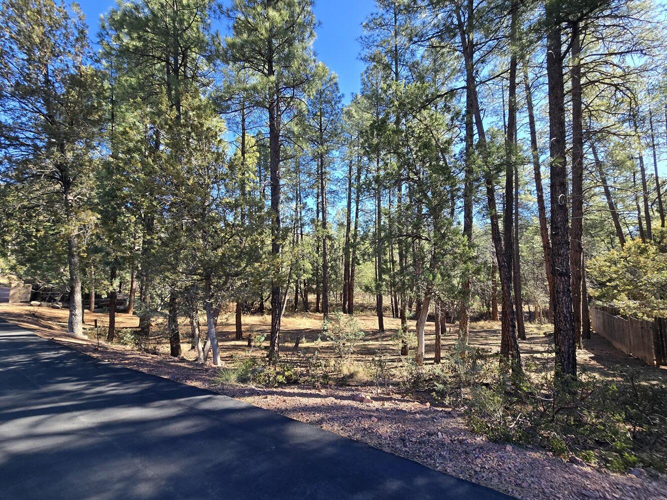 Lot 18 Strawberry Hollow, Pine, AZ 85544
