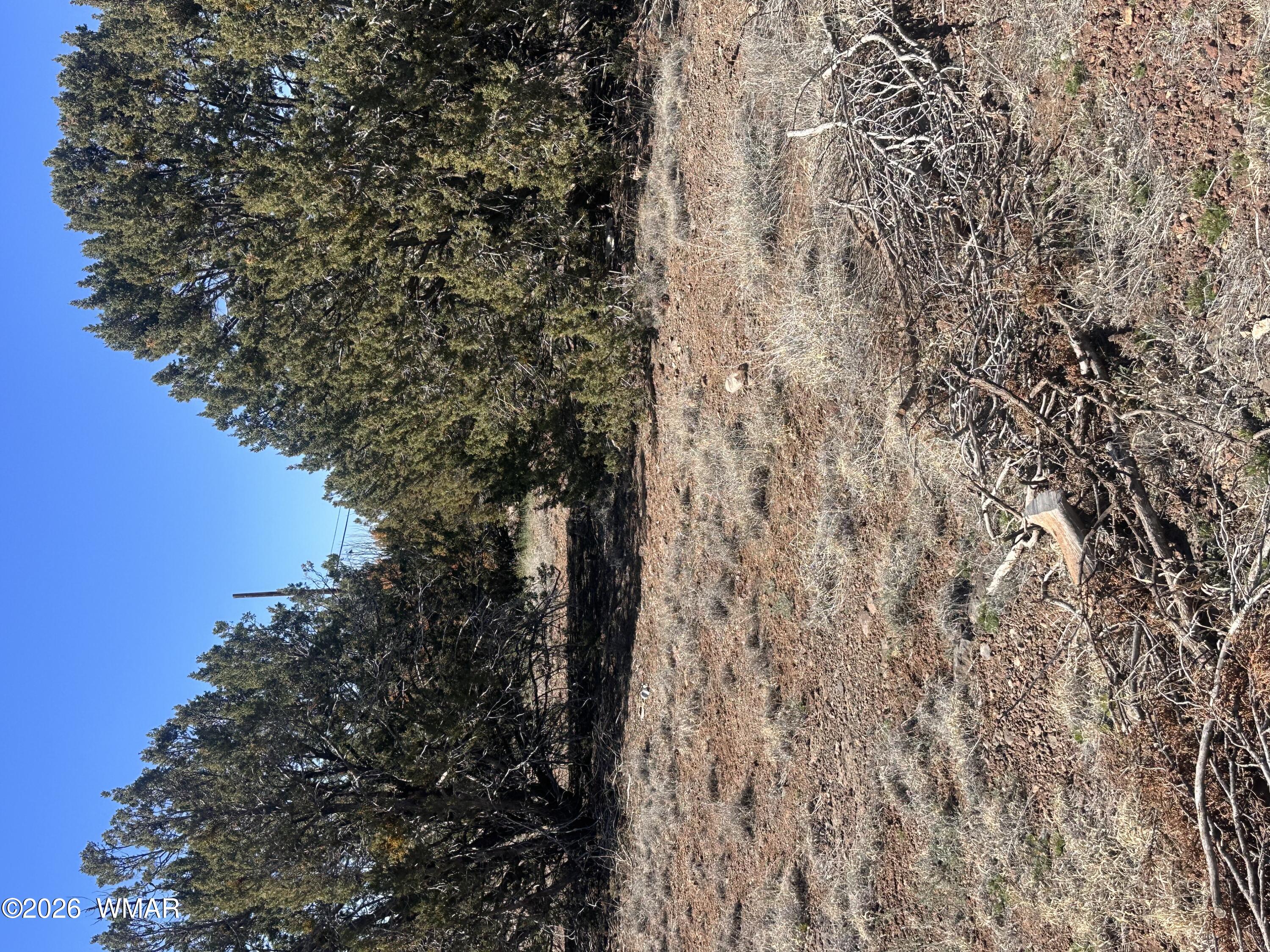 8489 Rifle Drive, Show Low, AZ 85901